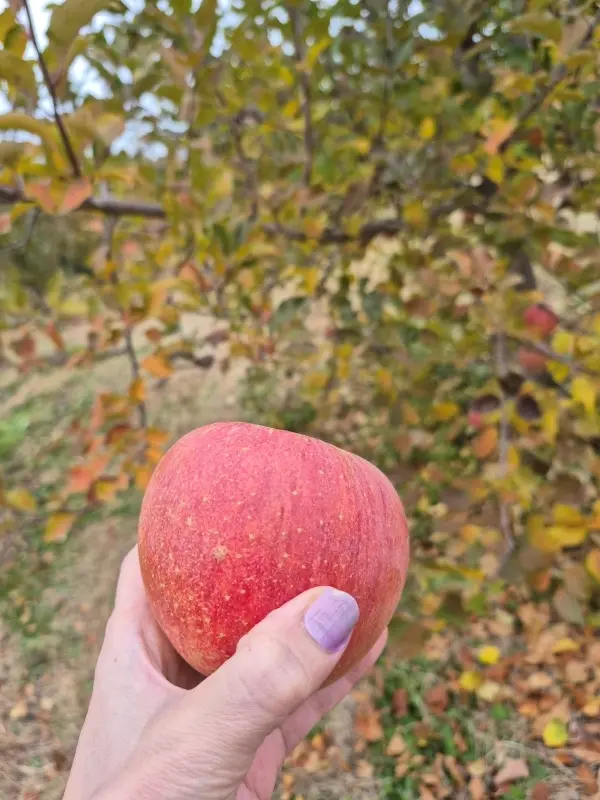 早朝の丸の内＆ドキドキのミステリーツアーに参加して来ました_1_8-1