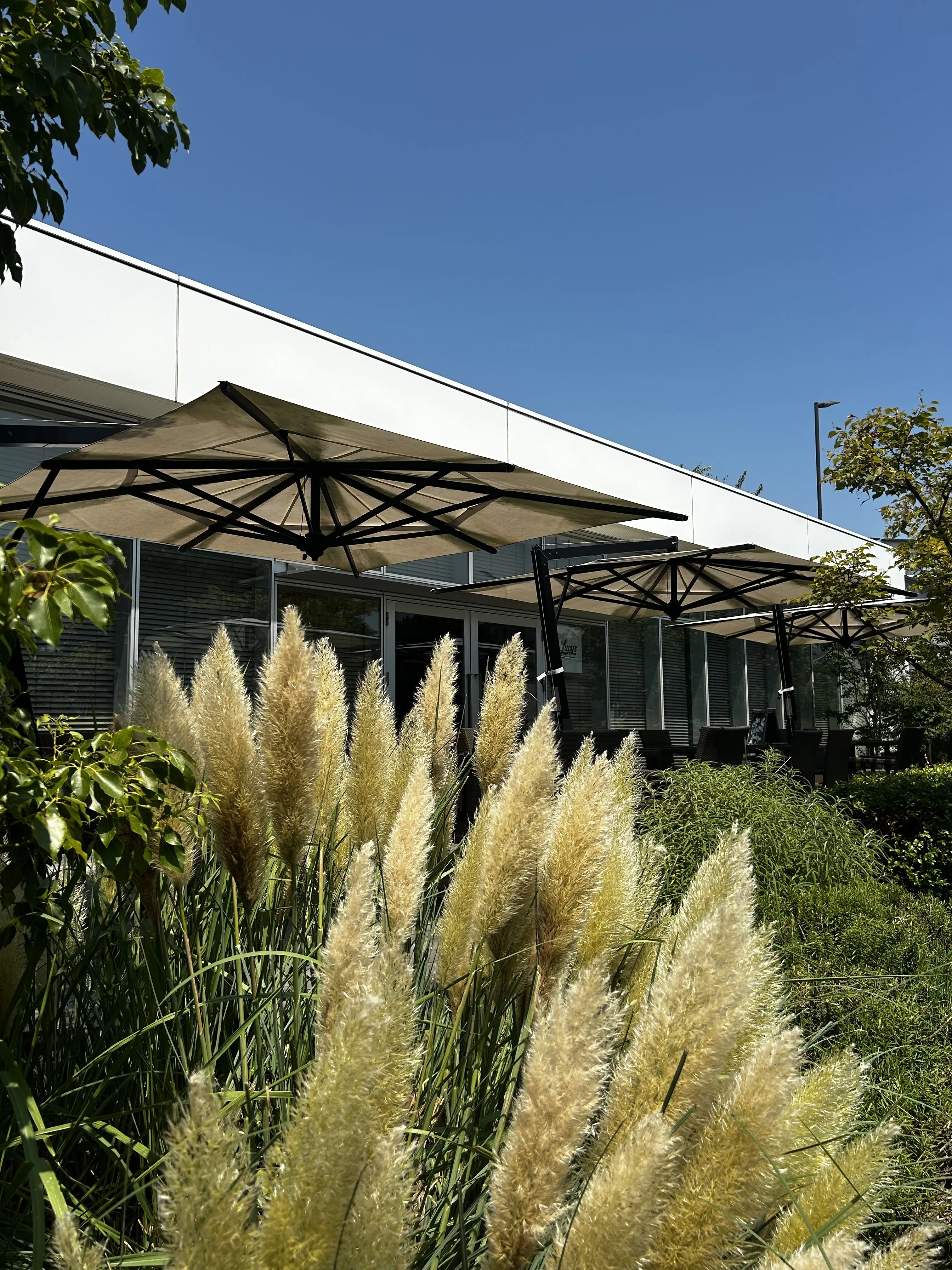 LUCYS BAKERY CAFE(ルーシーズ・ベーカリー・カフェ)