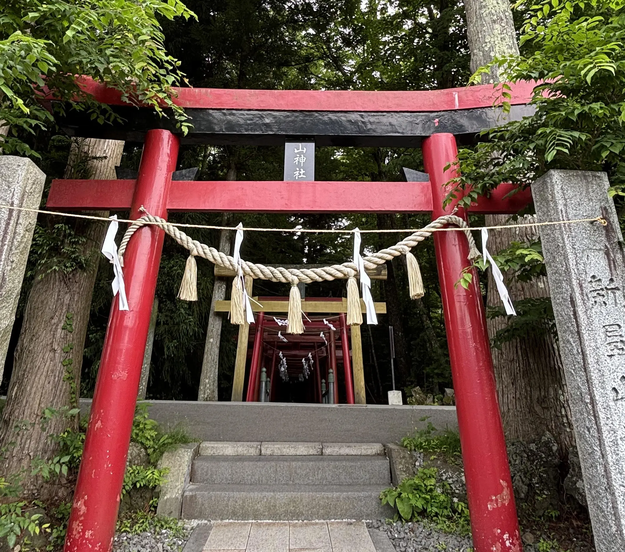 日本三大金運神社へ_1_13