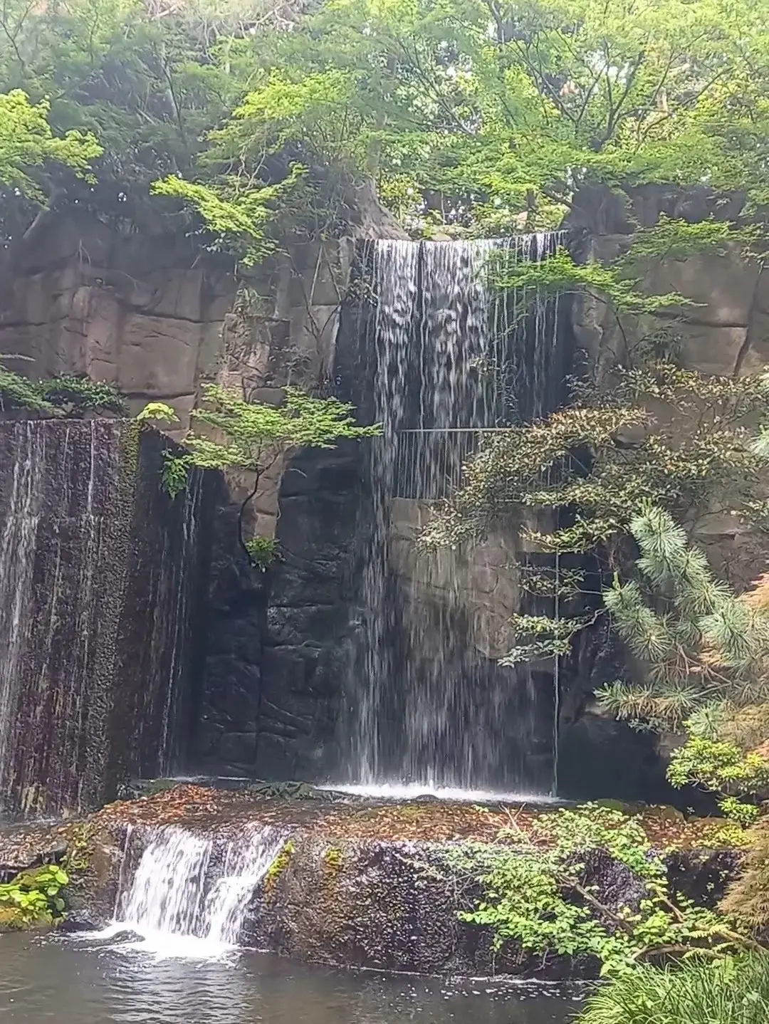 雅叙園東京