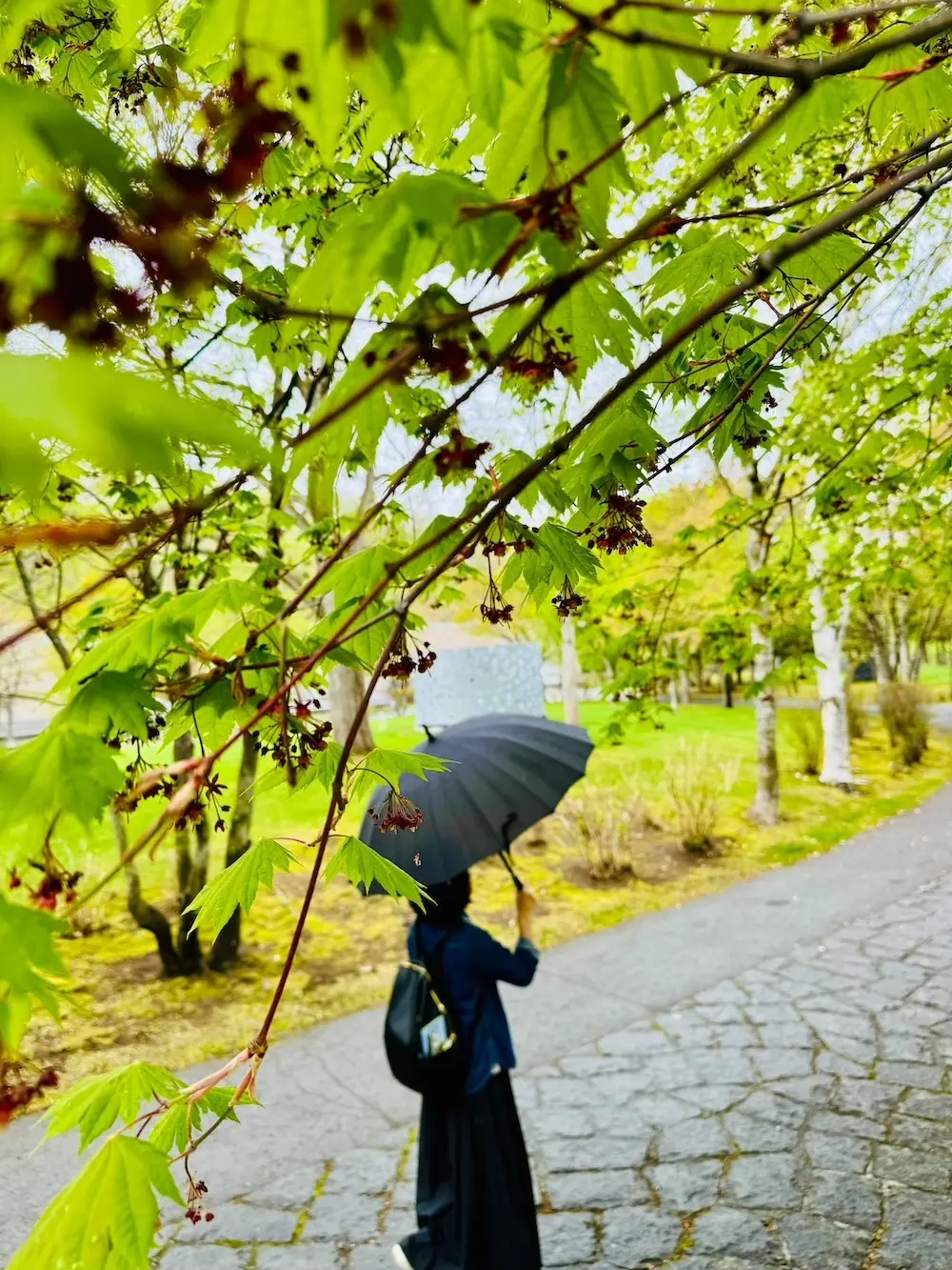 芸術の森