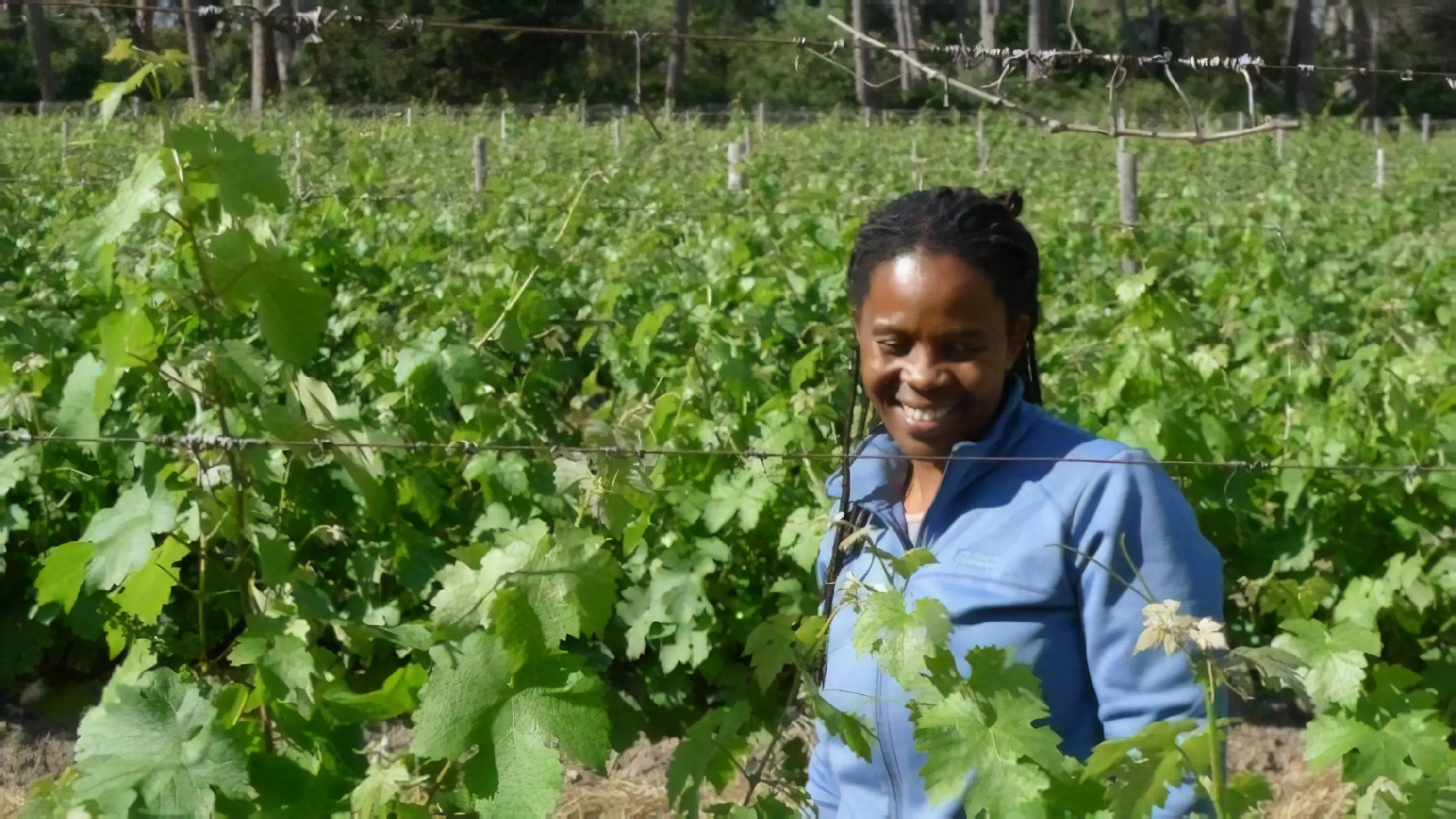 平和と希望のワイン「アスリナ」 南アフリカの黒人女性醸造家の“夢”とは？【飲むんだったら、イケてるワイン／WEB特別篇】_2_1
