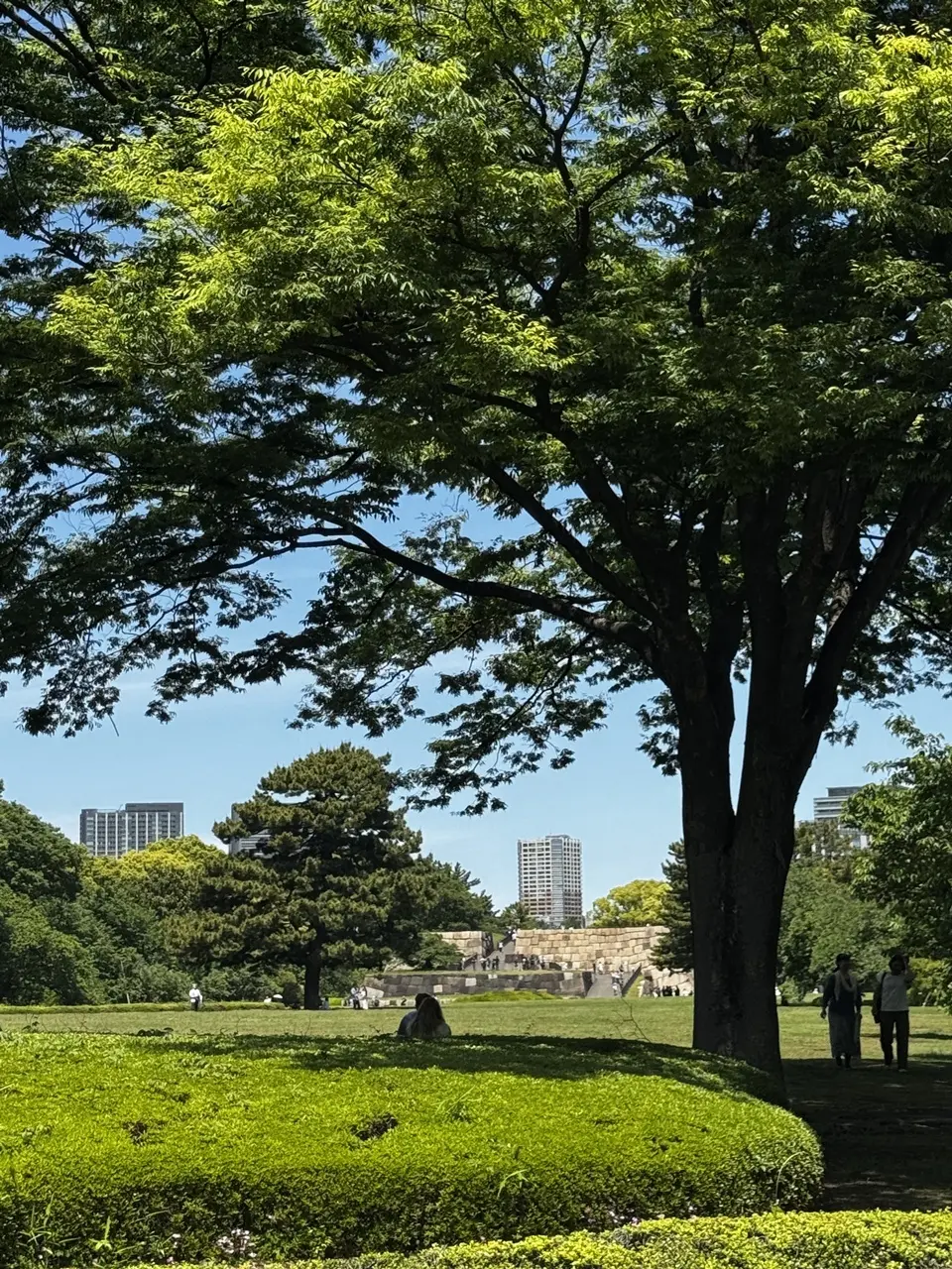 皇居東御苑 ⑥