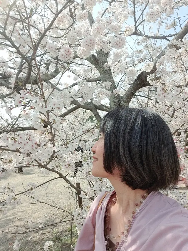 桜とお料理とおしゃべりを満喫した京都弾丸旅行_1_10