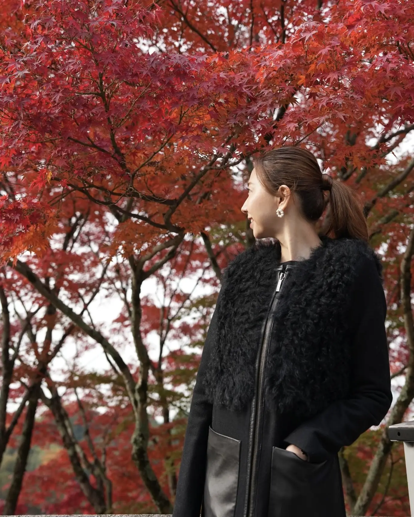 「そうだ京都、行こう。」🍂✨_1_16