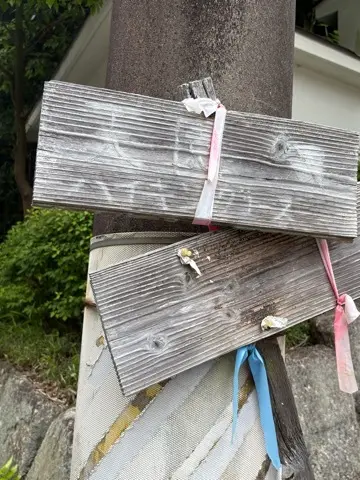 新緑眩しい鎌倉ハイキングに出掛けませんか？_1_25