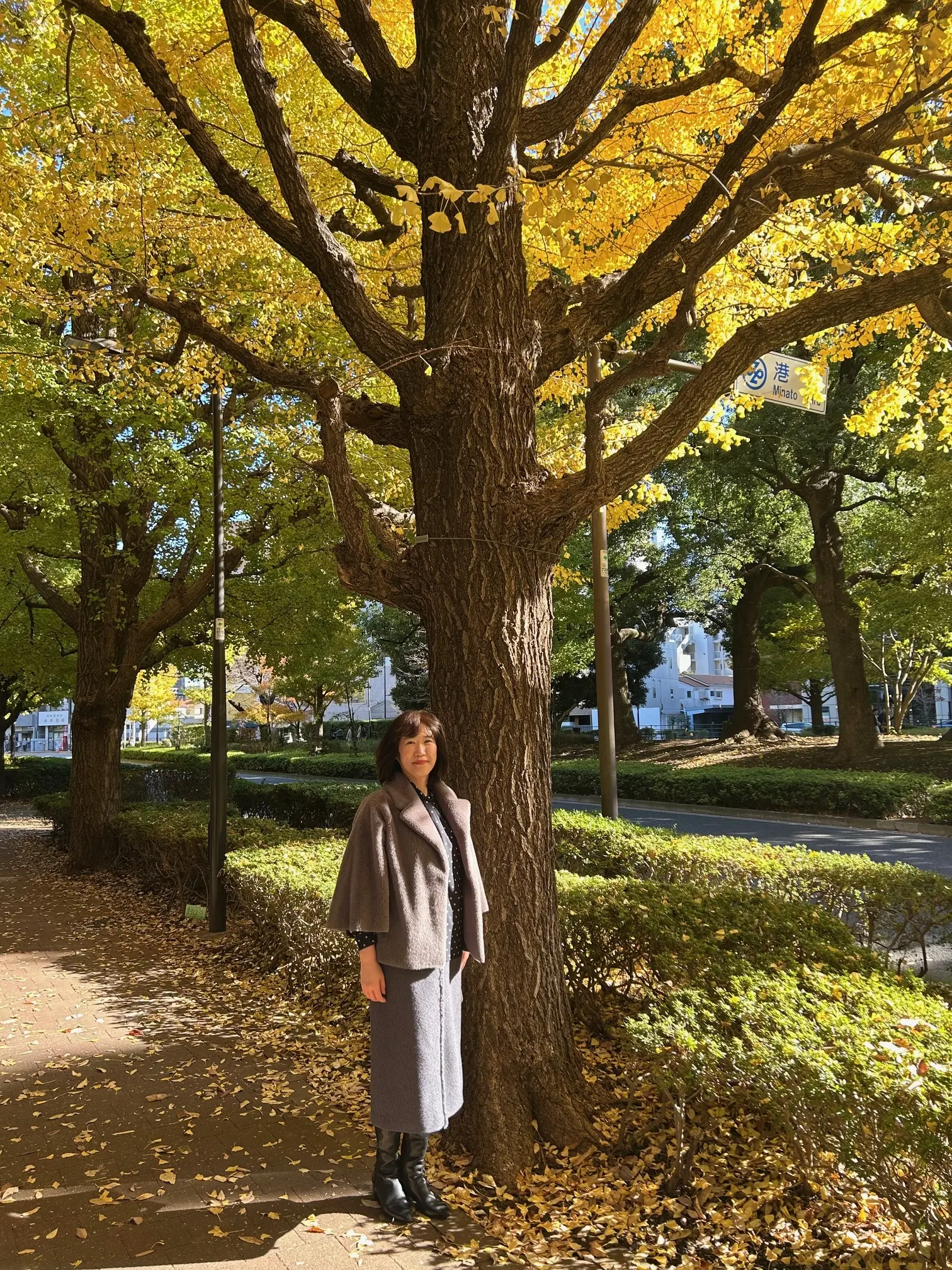 東京都庭園美術館への道