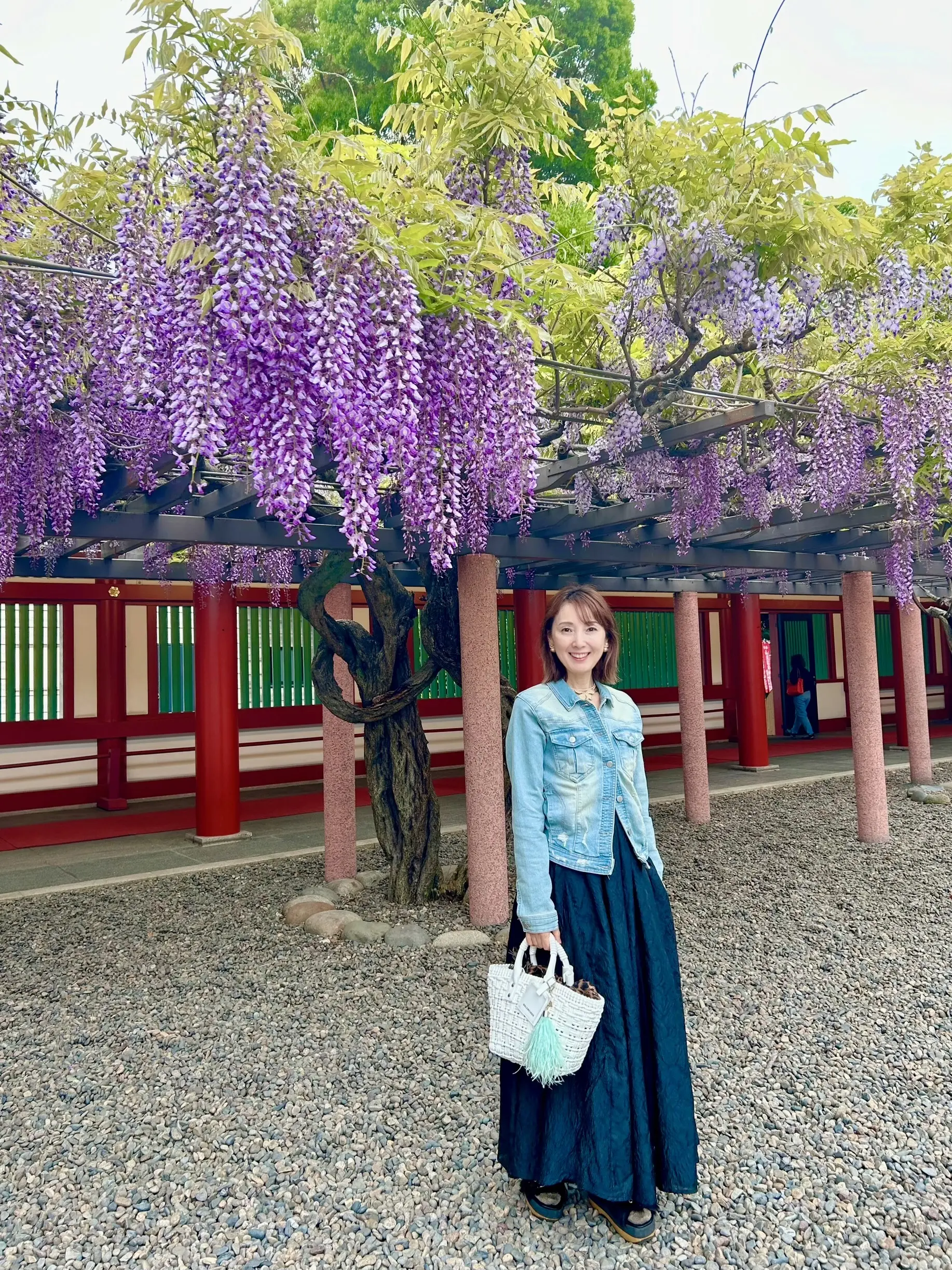 デニムコーデで花散歩　都内屈指のパワースポット日枝神社の藤の花に誘われて_1_5