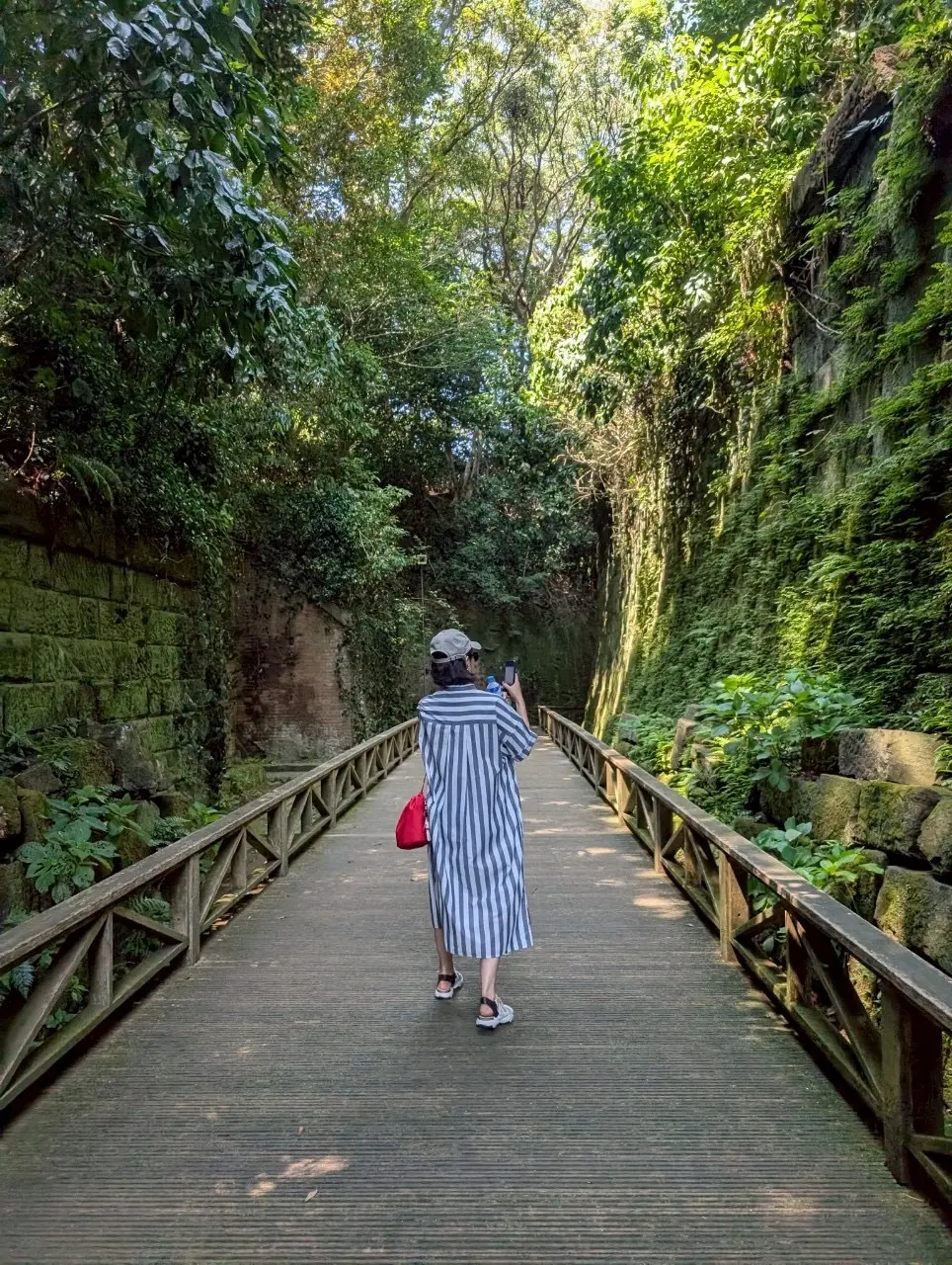 東京湾の無人島　猿島　横須賀　自然島