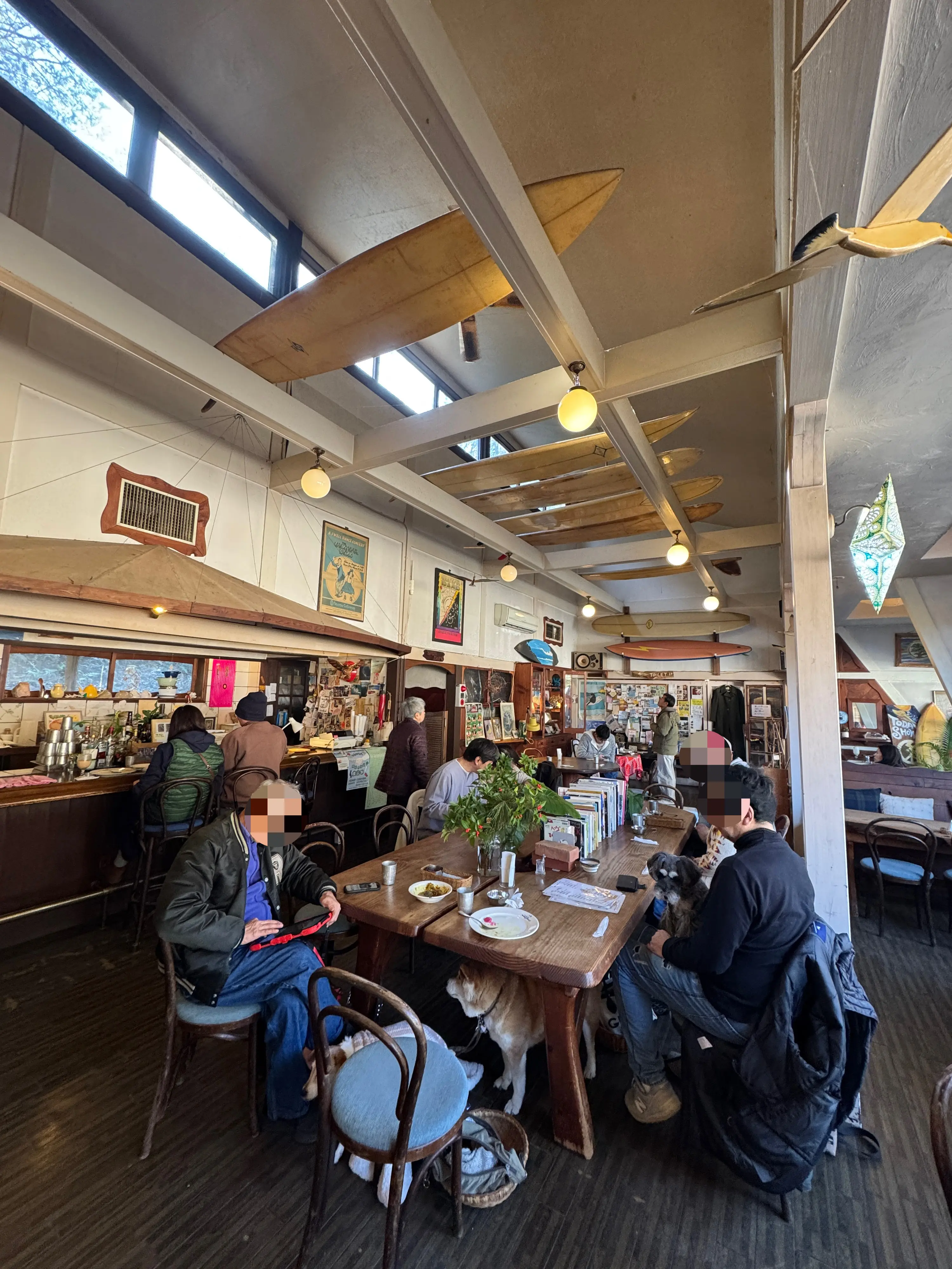 スパイスドッグ　伊豆