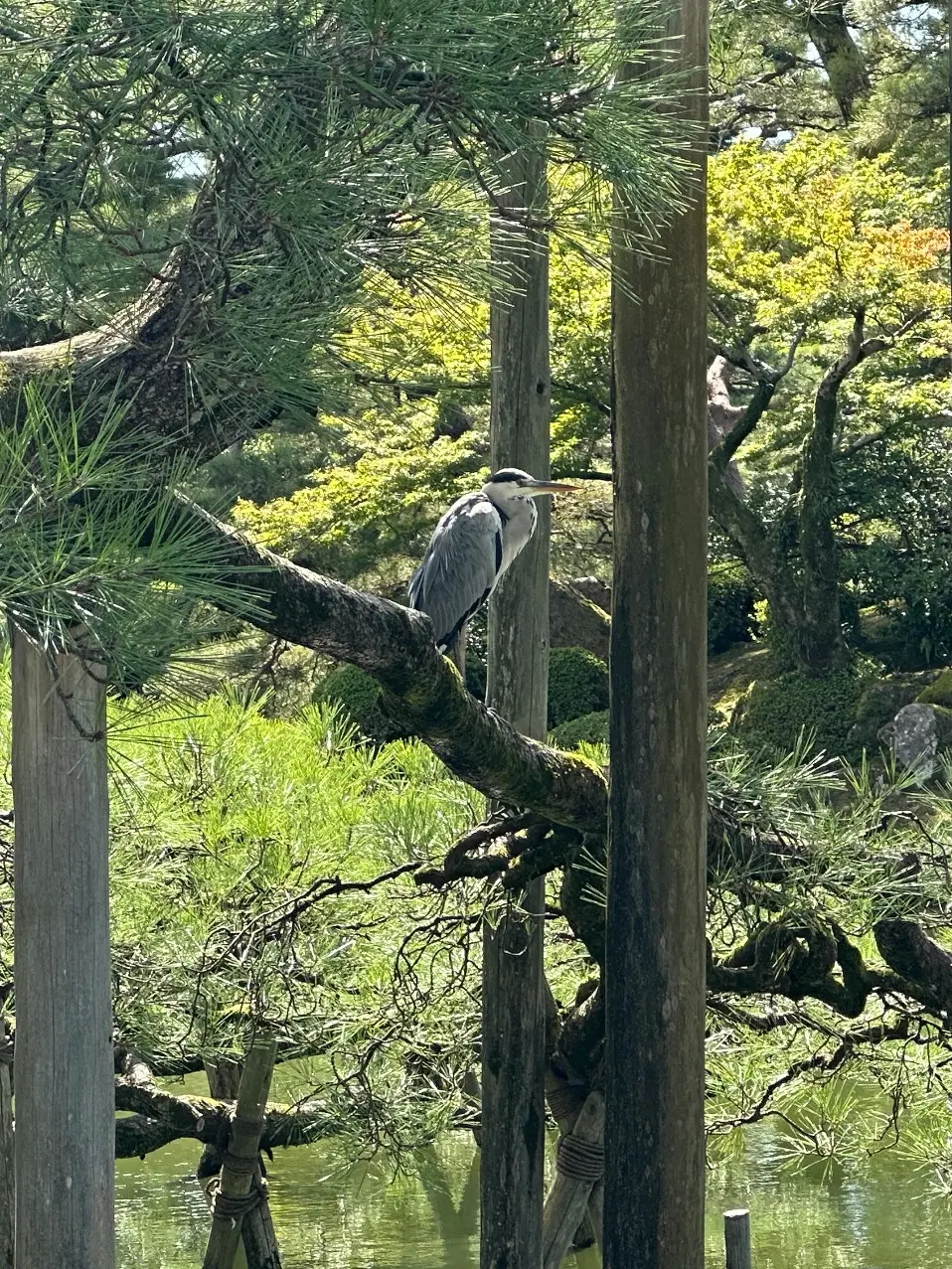 食を愉しむ大人の金沢旅行 DAY2 前半_1_8