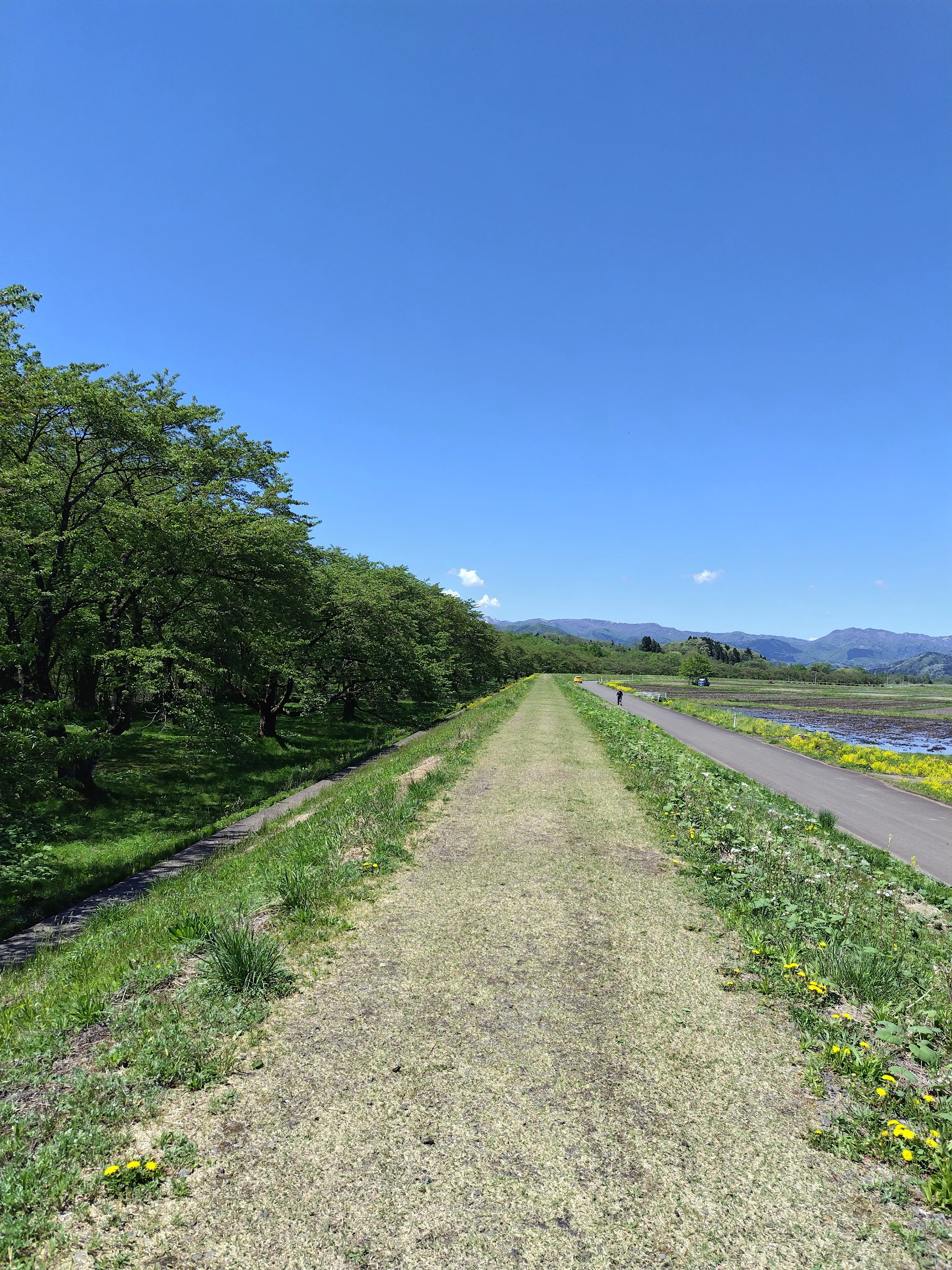 雫石川園地