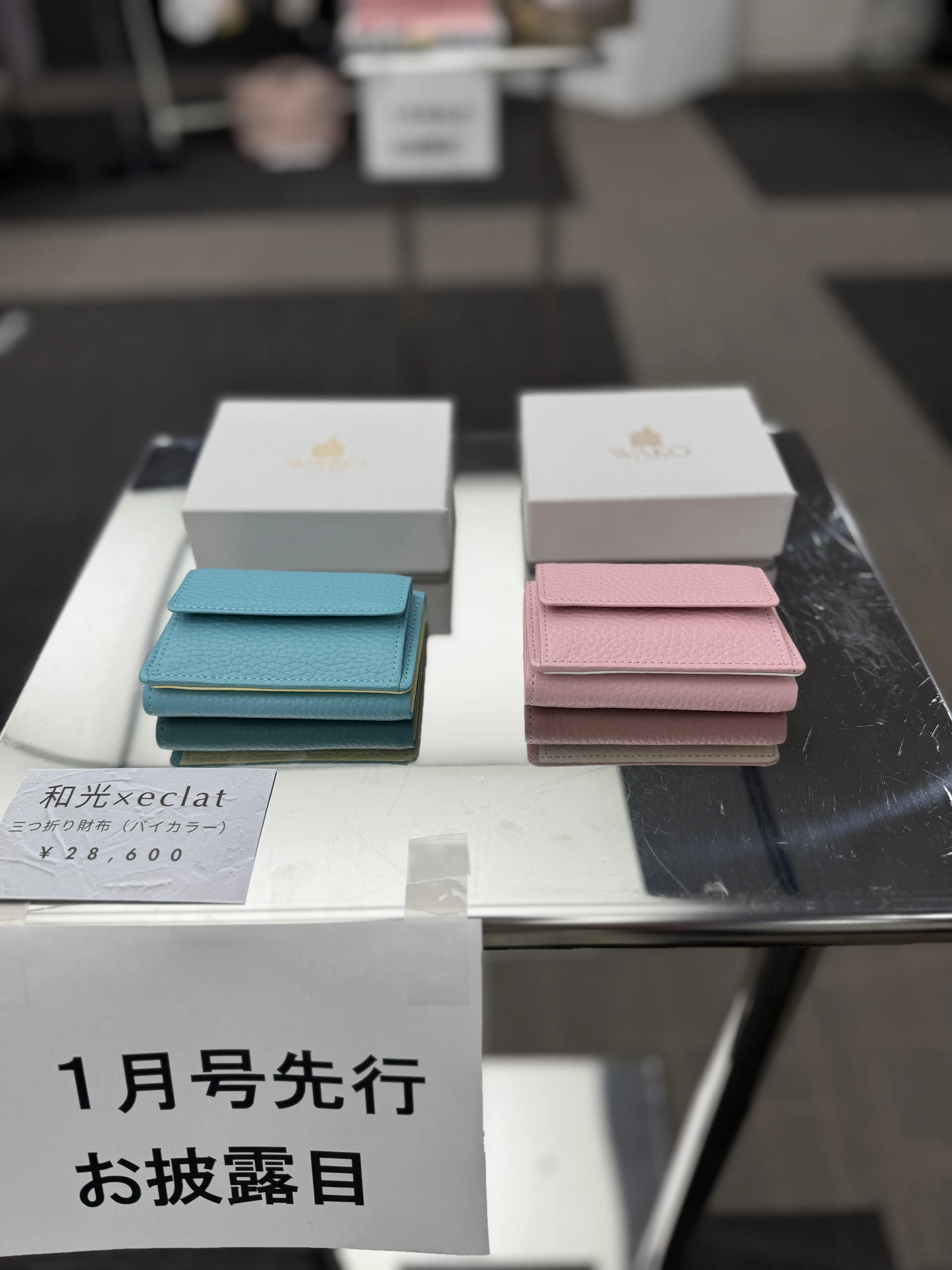 エクラプレミアム通販 試着会へ_1_9-1