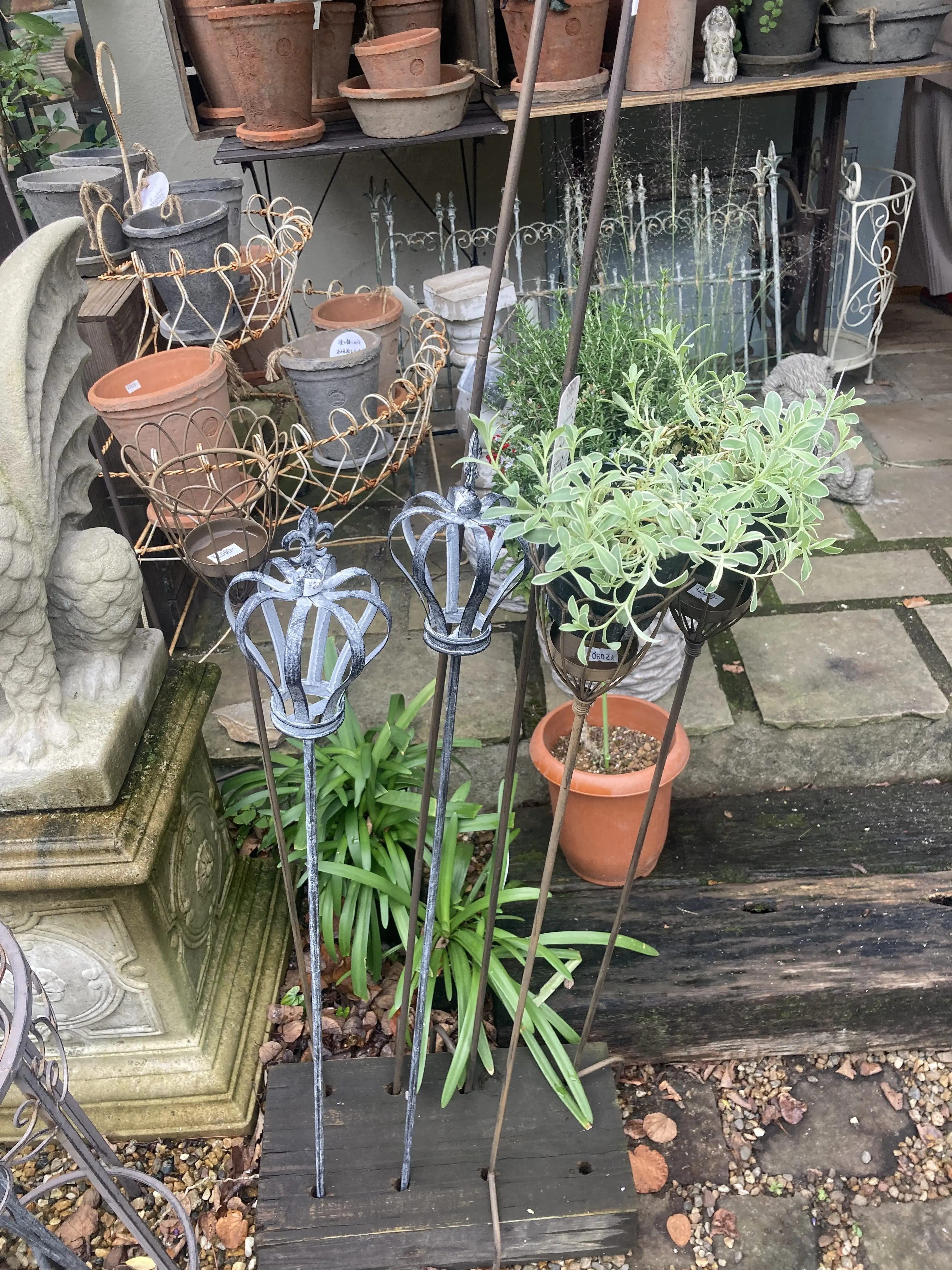 秋の気配を感じ森のお店を訪れました。🌲_1_4