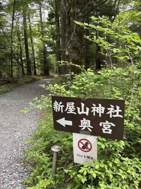 日本三大金運神社へ_1_4