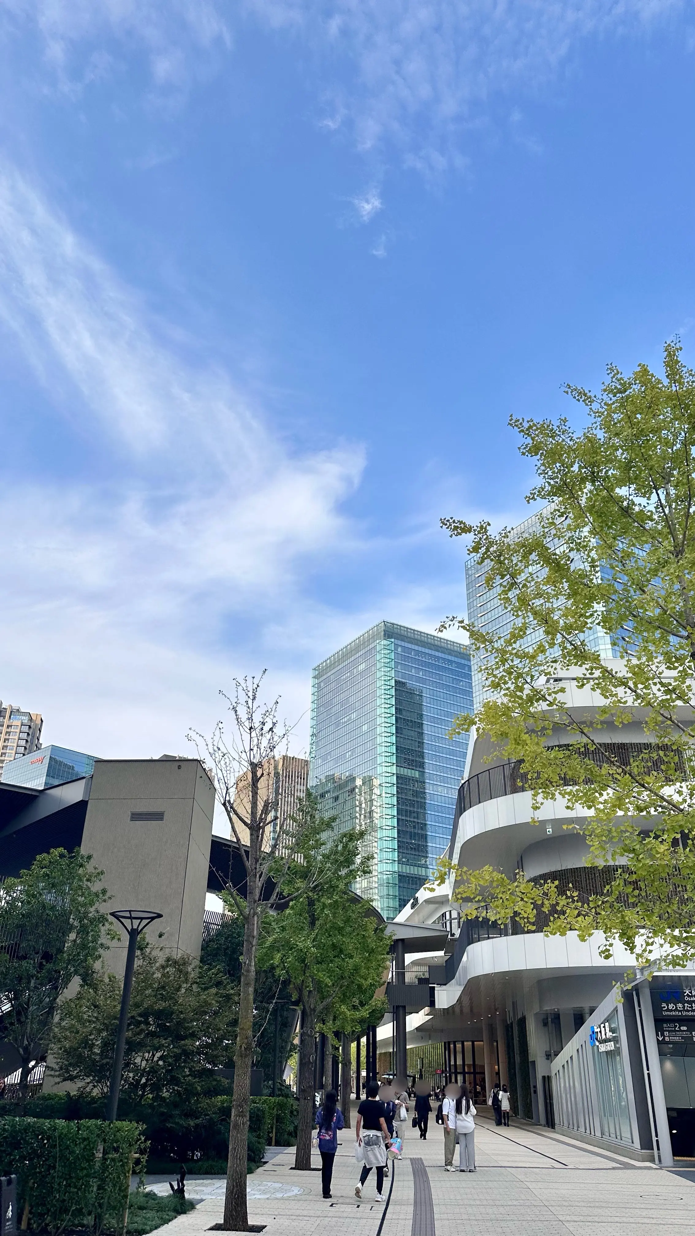 【大阪ランチ】ホテル阪急グランドレスパイア「Maison Verte」で再会ランチ_1_16