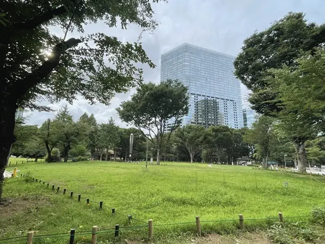 新宿中央公園の芝生広場