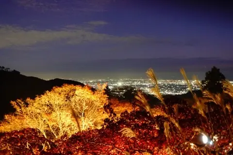想像以上の絶景に出会えた神奈川の紅葉の見どころ〜大山編〜_1_5