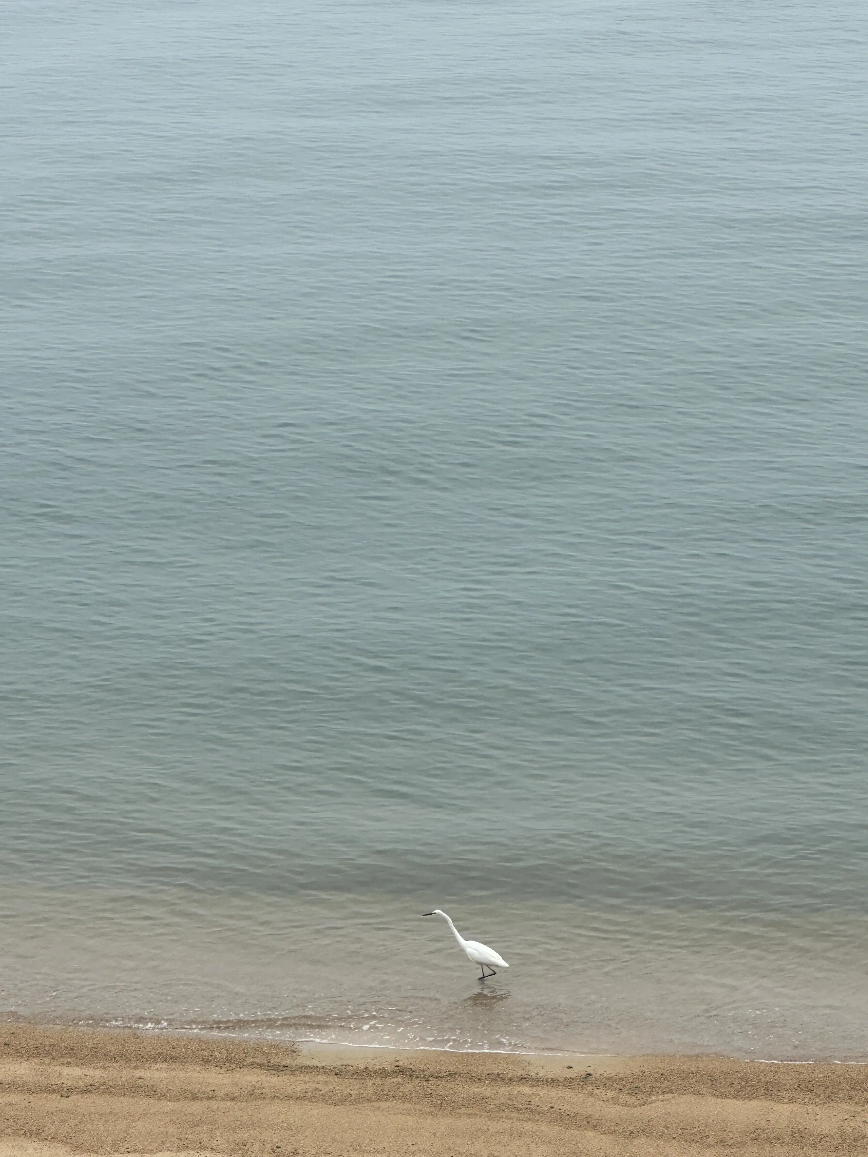 母妹と直島アートの旅へ・・DAY 1_1_13