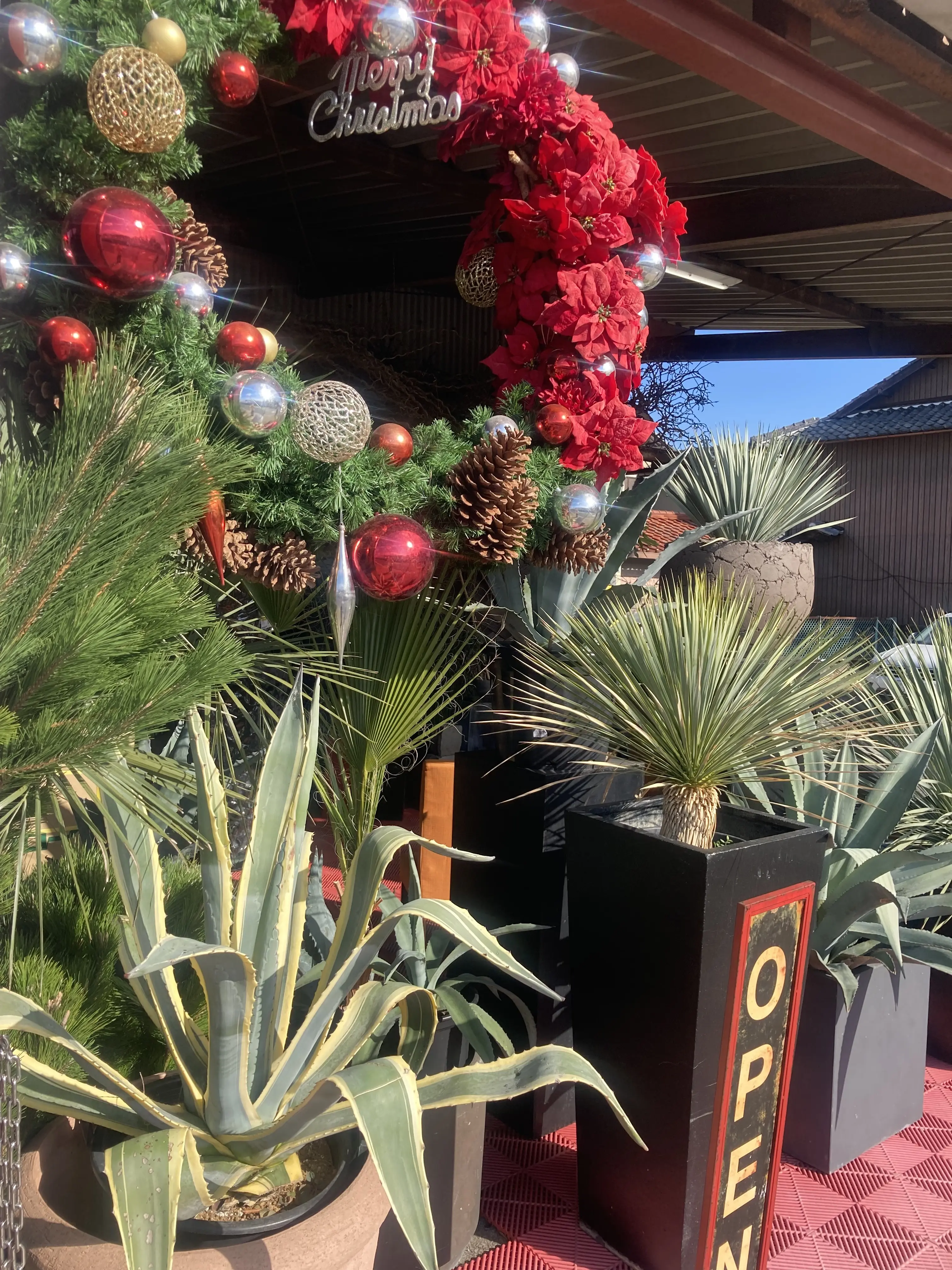 プチ・クリスマス気分を味わいに出かけました。_1_1