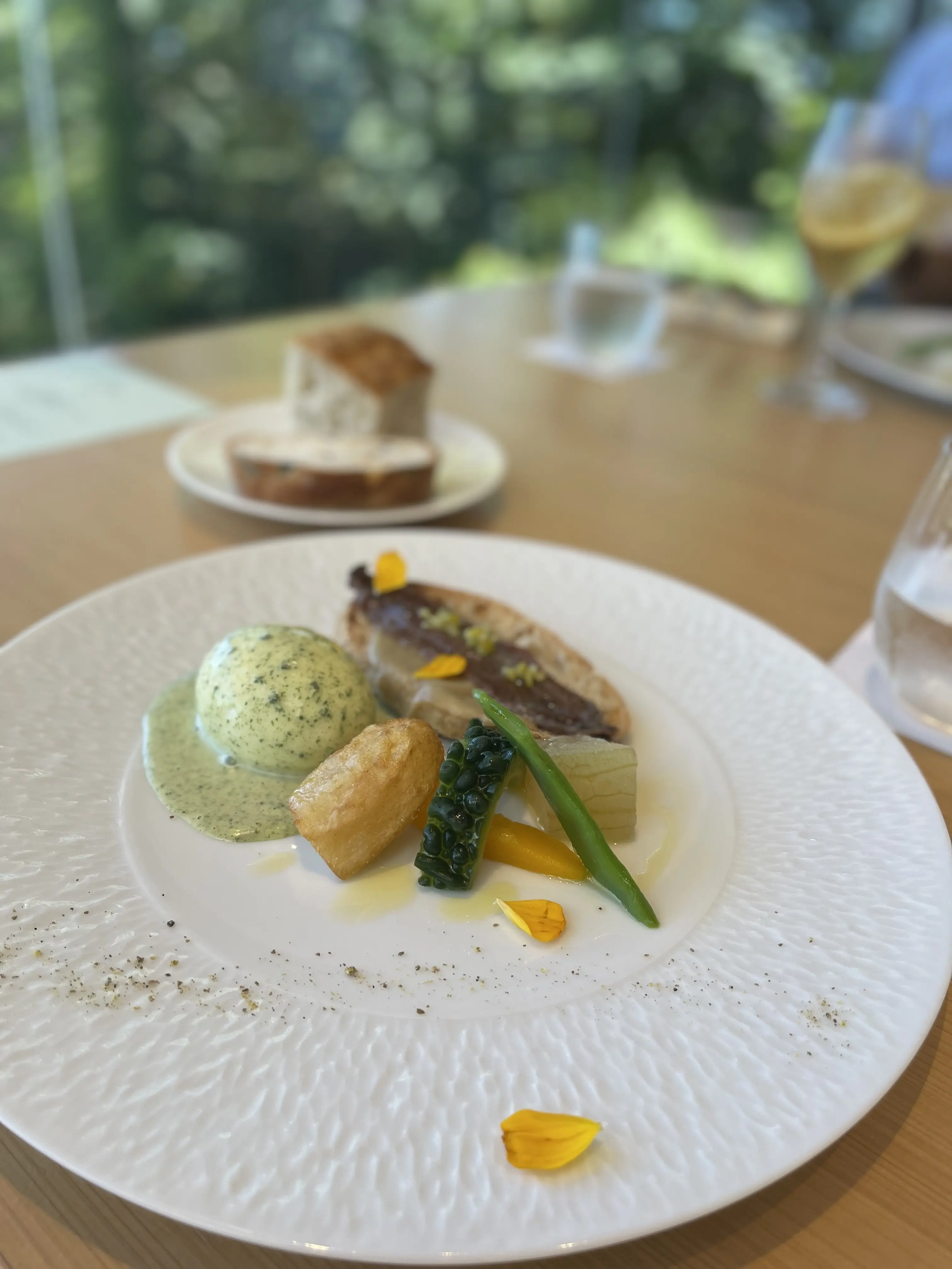 緑豊かな自然に囲まれた伊豆高原で幸せなひとときを過ごしてきました。_1_6-2