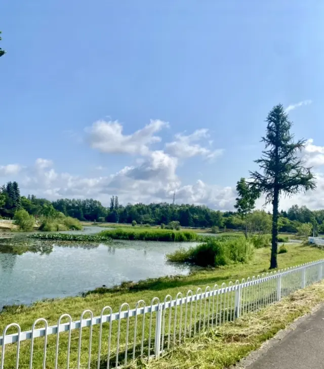 自然の恵みに、感謝✨北の大地で✨_1_2