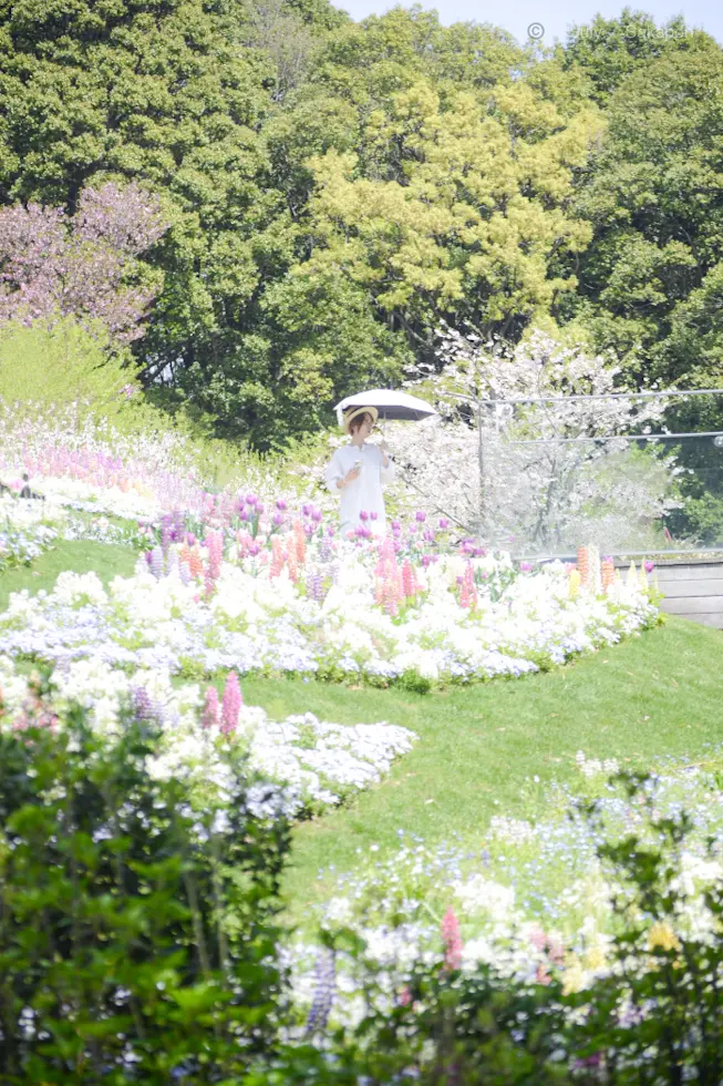 【さかぽんの冒険】春の里山ガーデンフェスタ2024_1_1