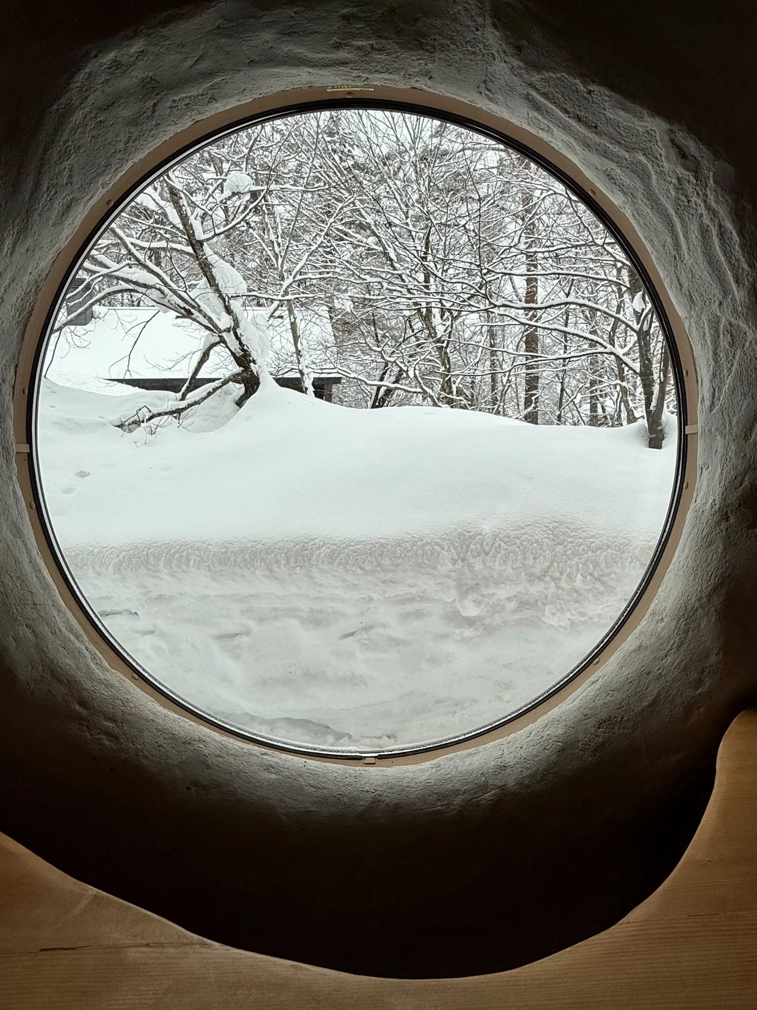 冬の白馬 雪景色とおしゃれカフェで過ごす時間を楽しむ旅_1_21