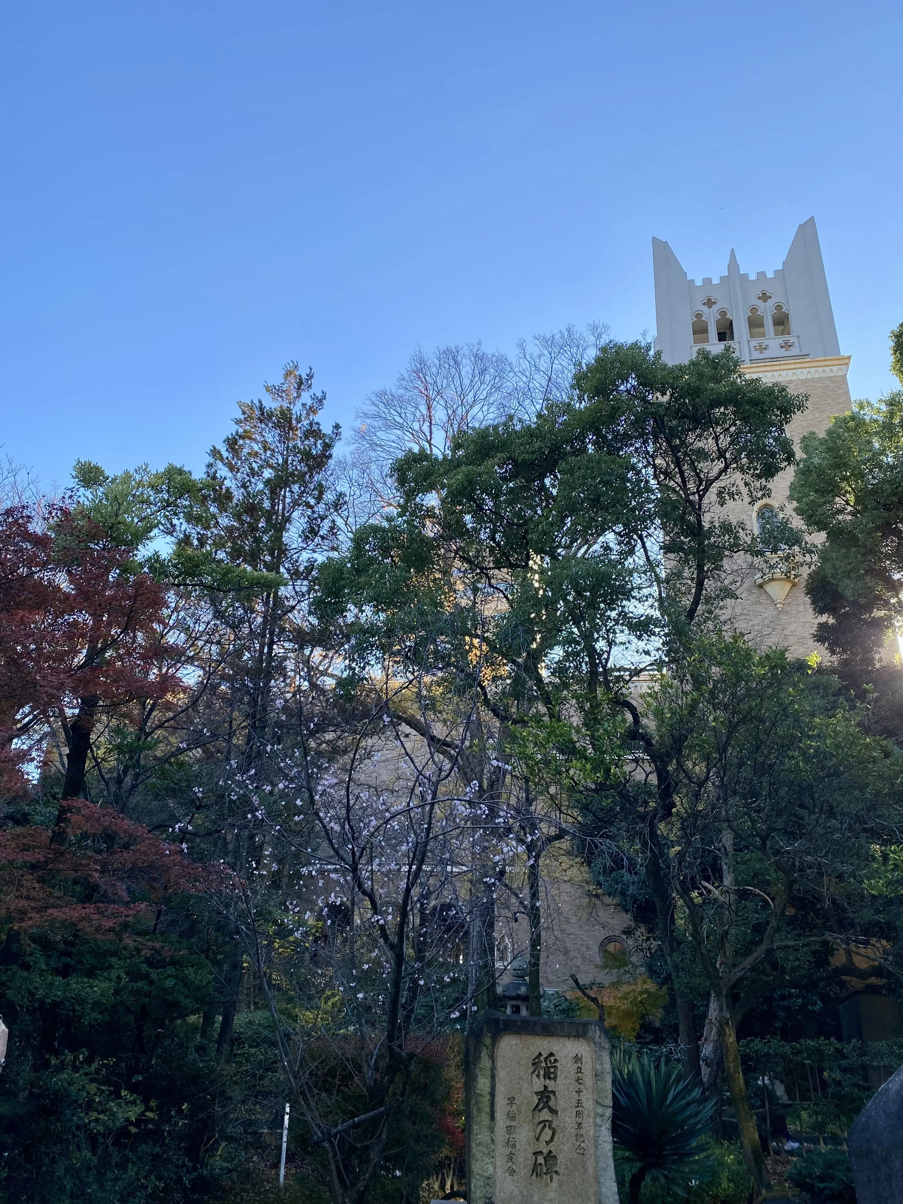 早稲田大学・大隈講堂を背景にした秋景色。紅葉と木々に囲まれた大隈講堂の全景写真｜早稲田キャンパス散策・大隈庭園の紅葉