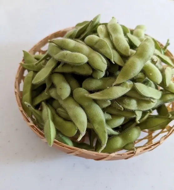 それぞれ山形県産と北海道産の種から育てた「だだちゃ豆」と「茶豆」枝豆2種