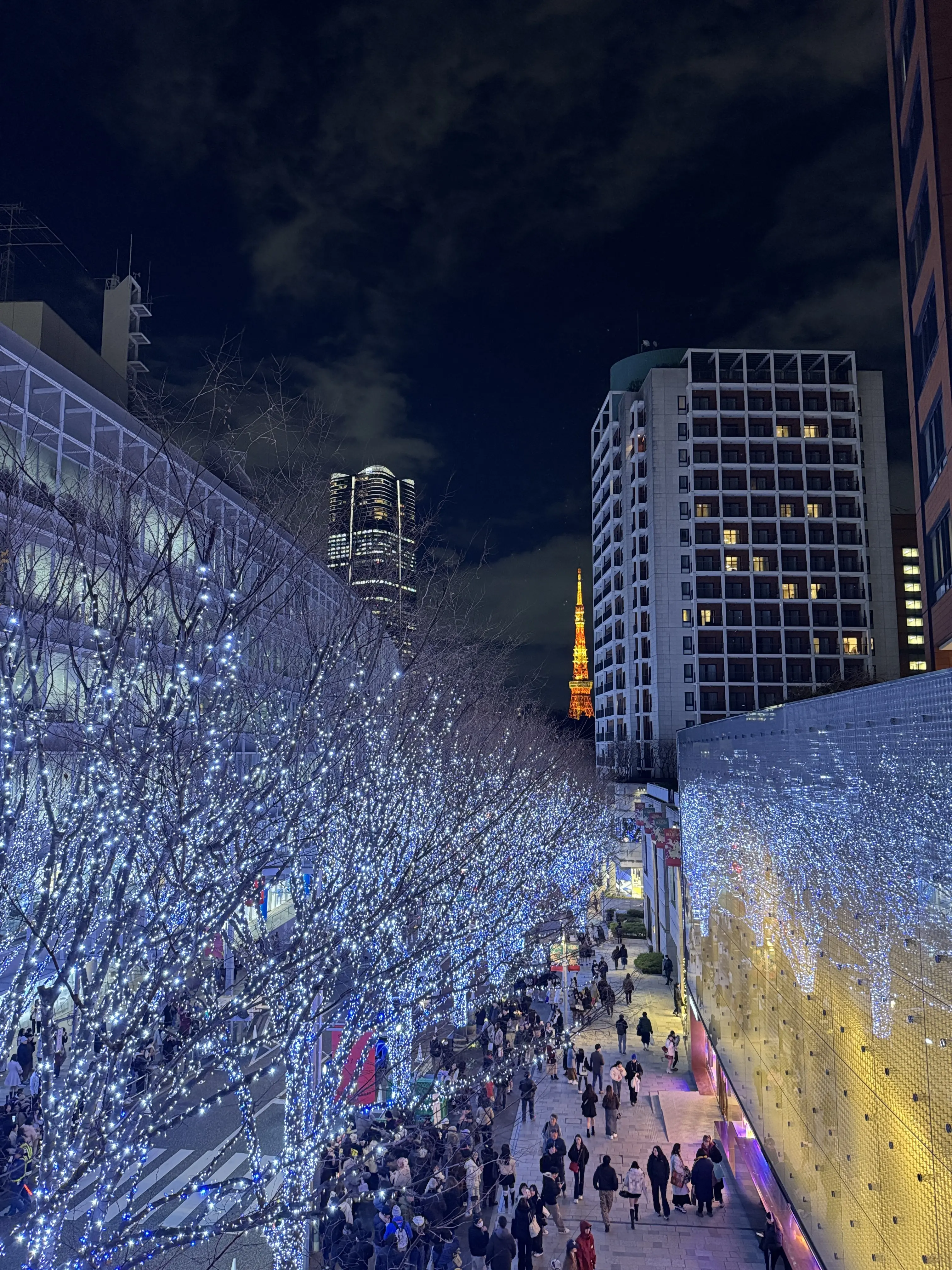 この冬見たい、心に残る東京イルミネーション3選_1_2