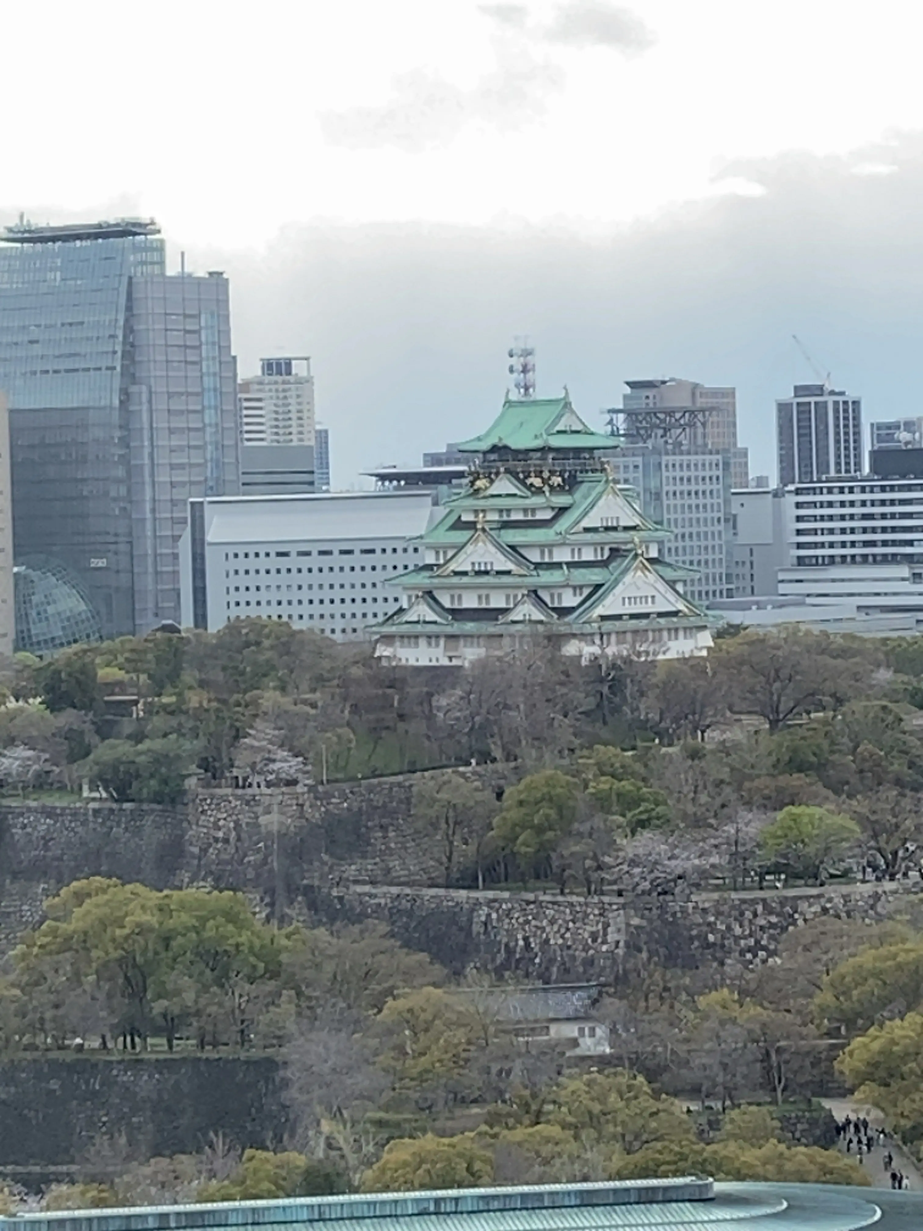 関西Jマダムやっちゃんとラグジュアリーホテル【パティーナ大阪】でヌン活_1_7