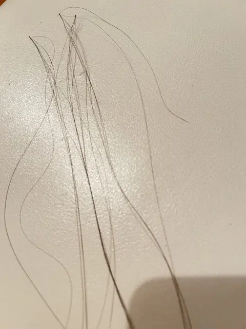ヘアループ　抜けた毛