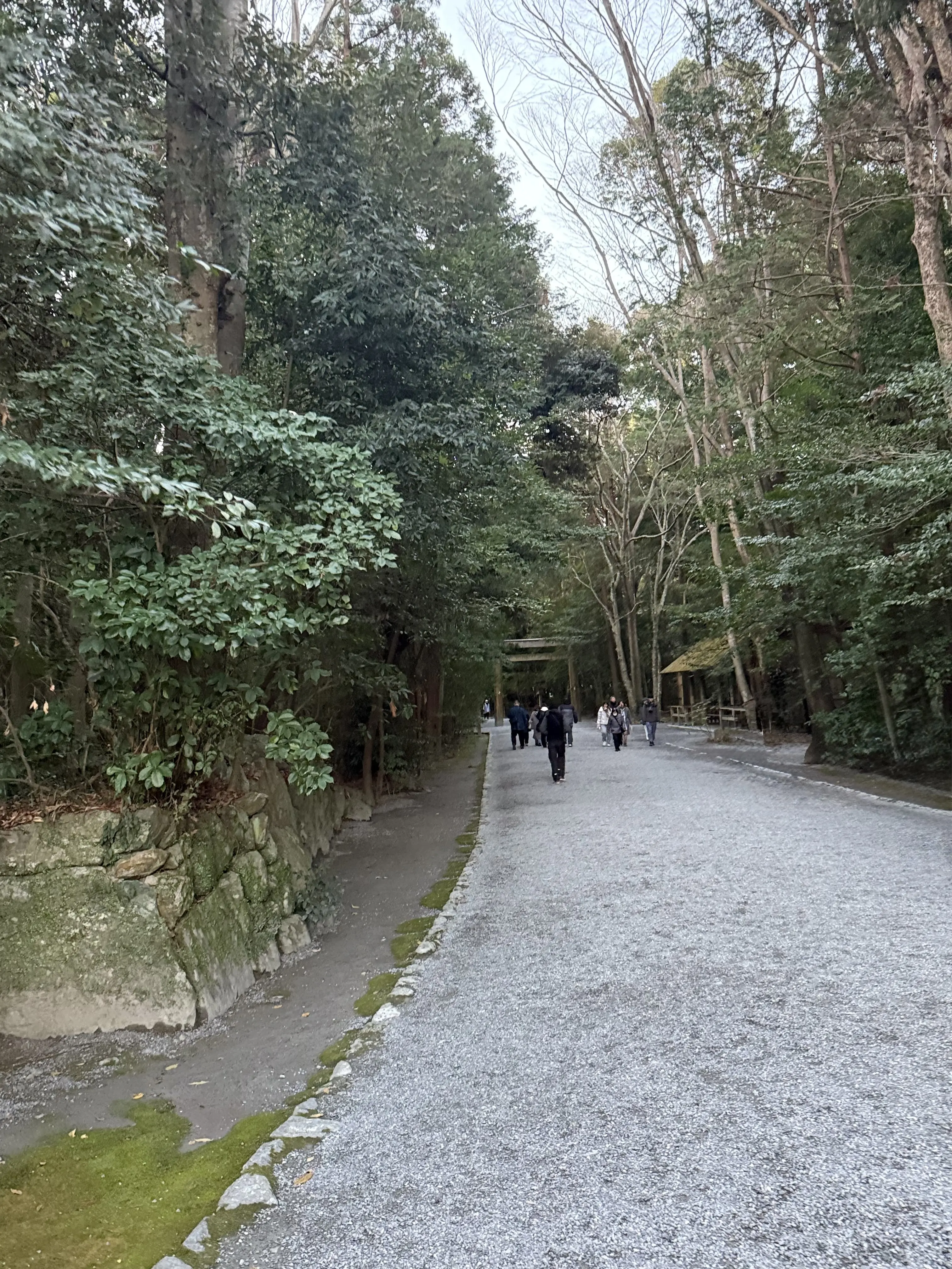 午年のはじまりは、神馬の伊勢神宮へ早朝初詣_1_2
