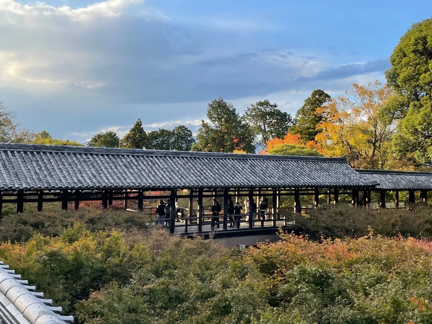 着物で秋の京都を愉しむ_1_7-1