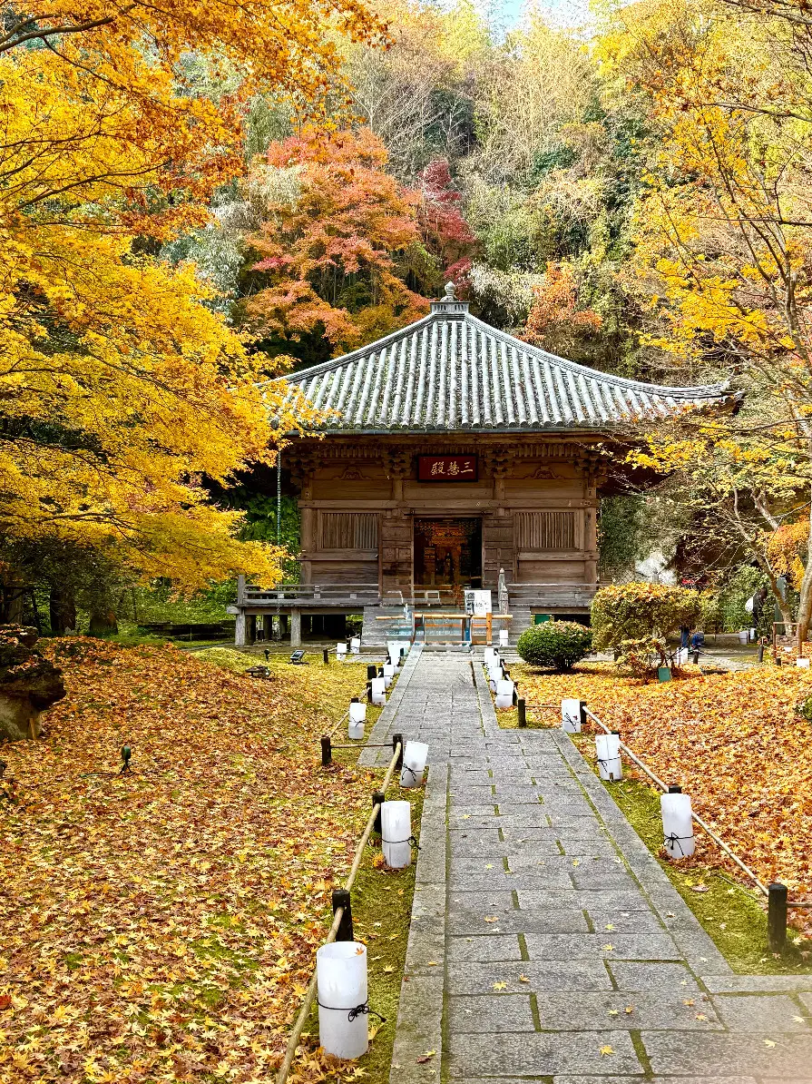 羽織るだけで見た目も気分も華やぐ♪ストールコーディネートで秋のお出かけ_1_19