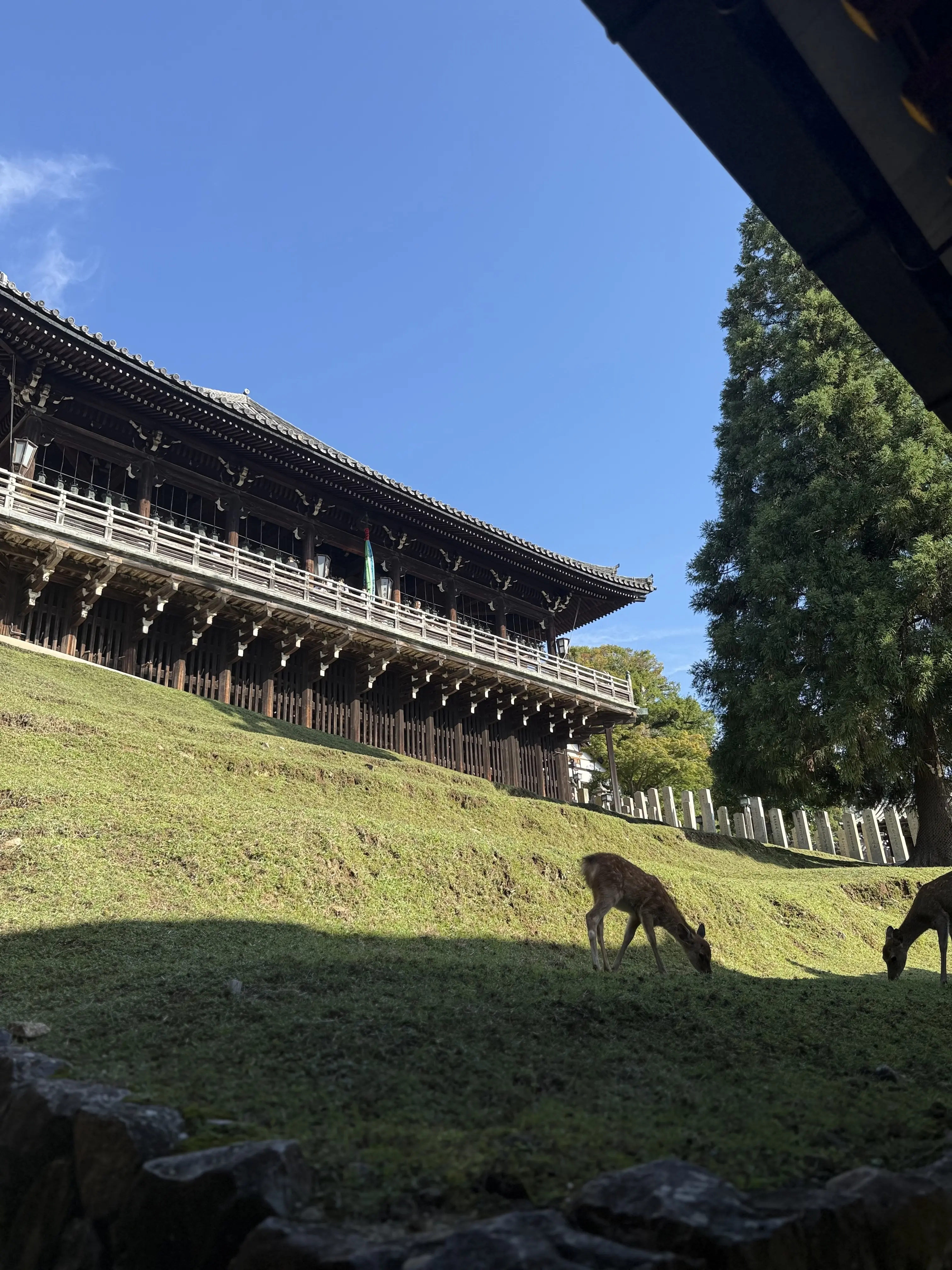 大人の遠足 in 奈良【茶寮 世世ランチからの東大寺・二月堂・奈良公園散策】奈良満喫プラン_1_21