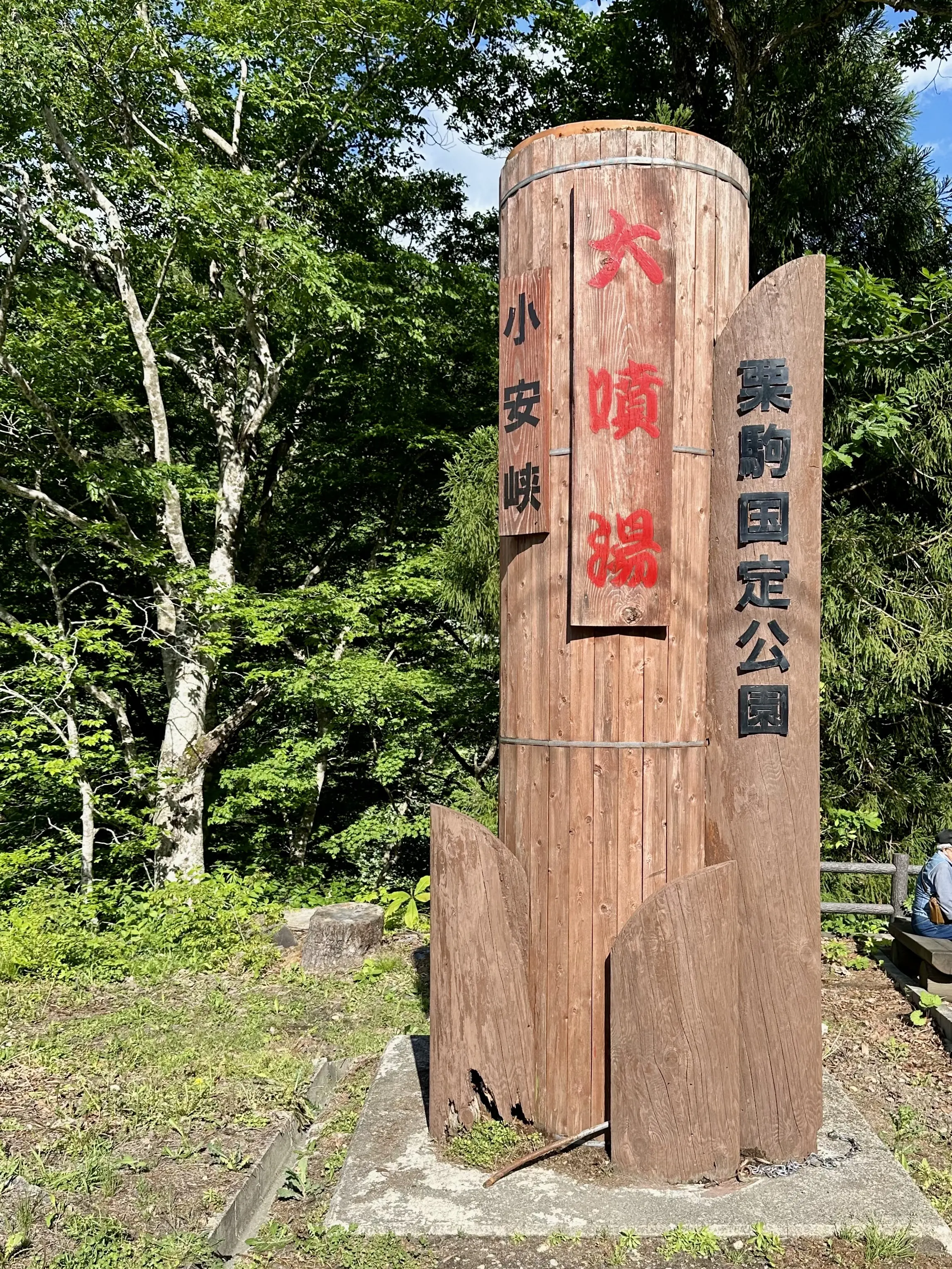 【秋田】雄大な自然と温泉を楽しむ旅ー秋田県小安峡温泉_1_19