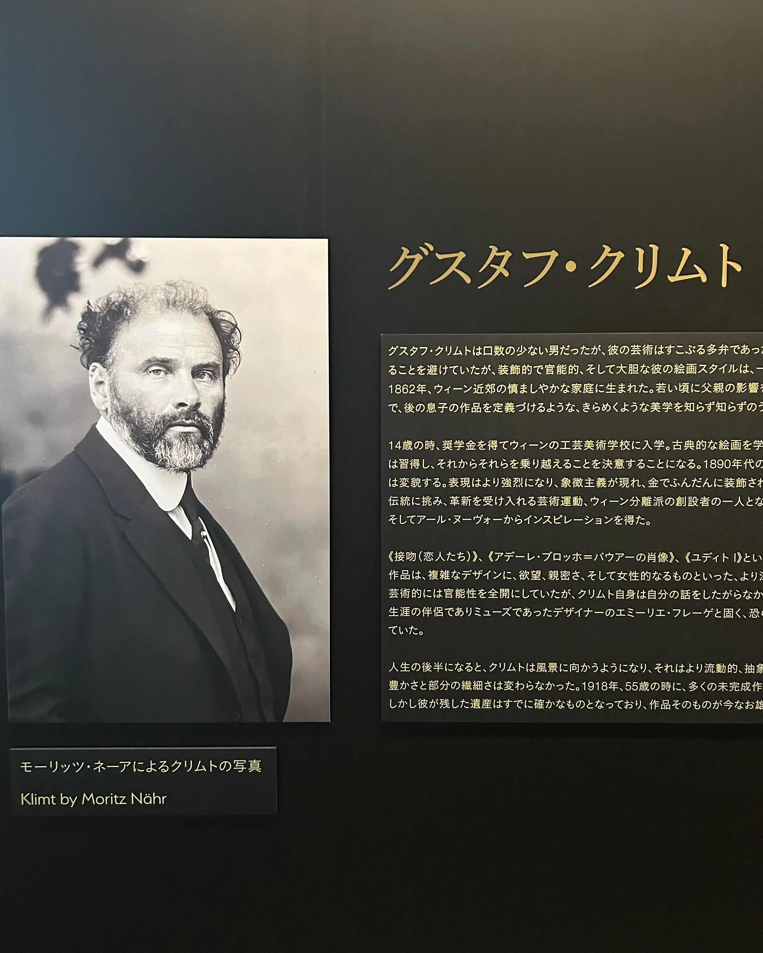 クリムトの没入型展覧会★「クリムト・アライブ」に行ってきました✨_1_2