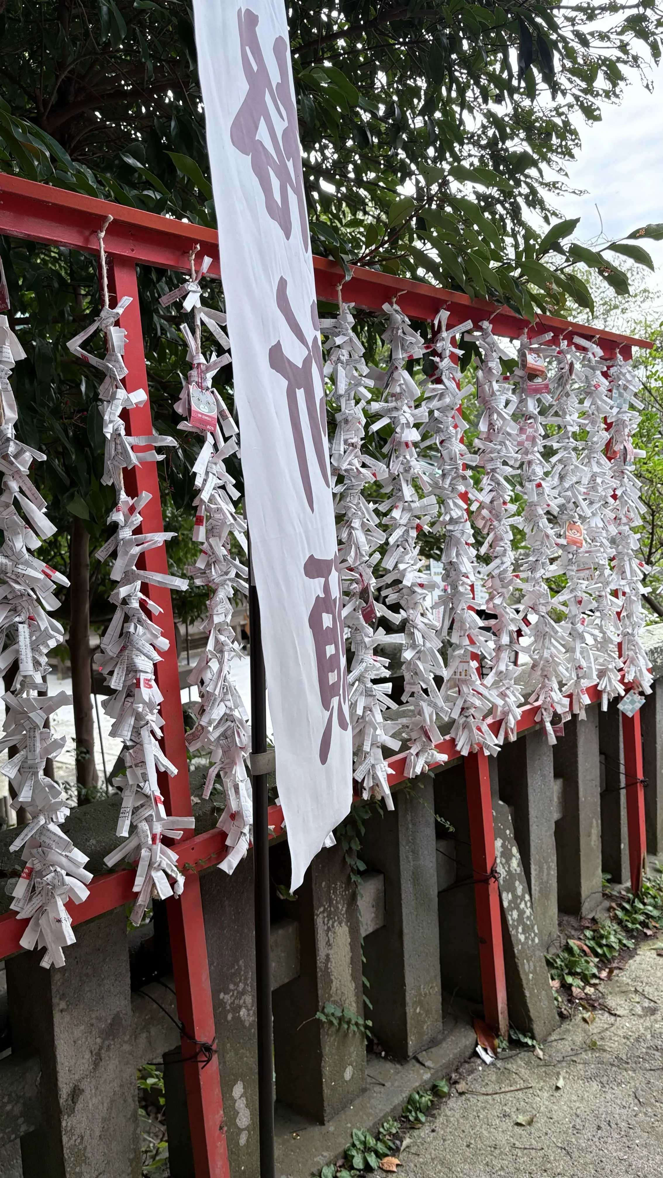 おみくじ 海南神社 三浦市 三崎口 神奈川県