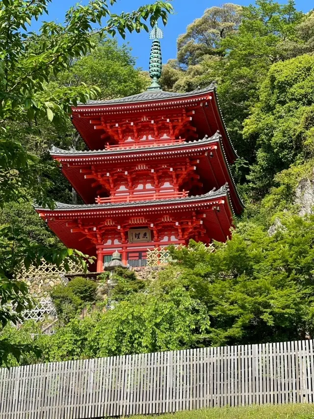 岐阜城楽市と金華山ロープウェー_1_8