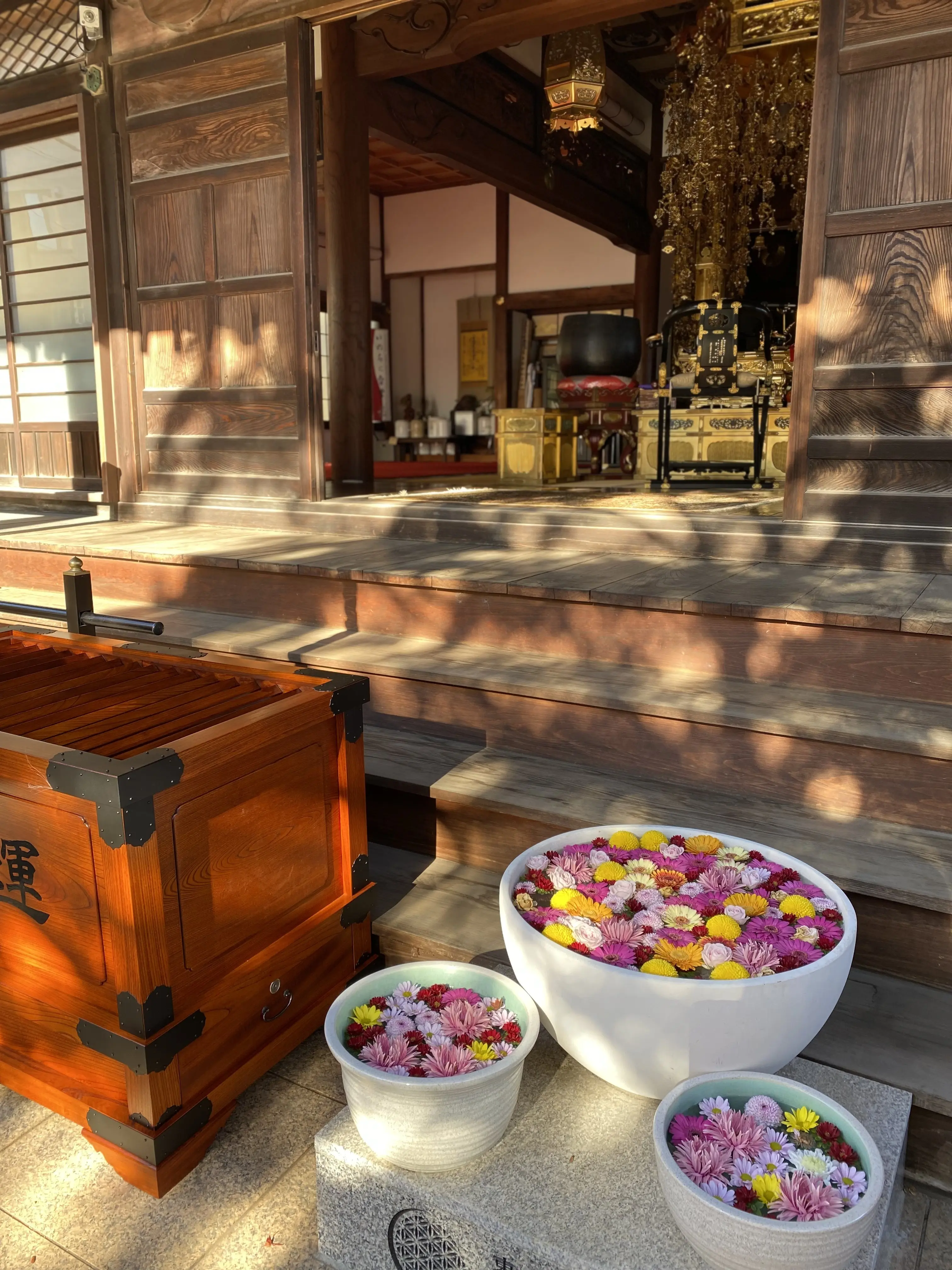 早稲田・法輪寺本堂前の花手水（菊の浮かぶ鉢）｜春夏秋冬で装いが変わる人気の花手水スポット｜早稲田散歩で訪れたいフォトジェニックなお寺