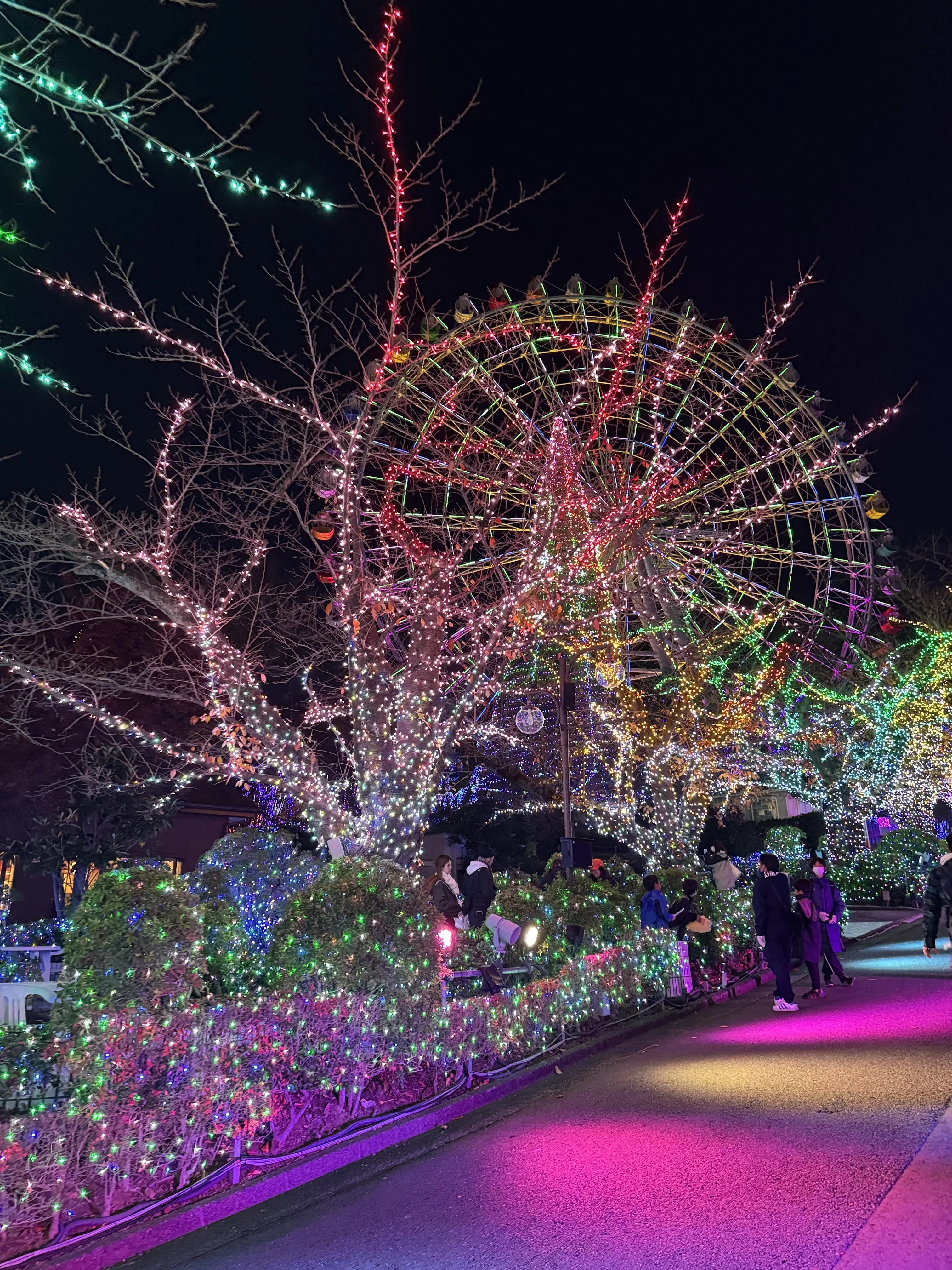 この冬見たい、心に残る東京イルミネーション3選_1_10