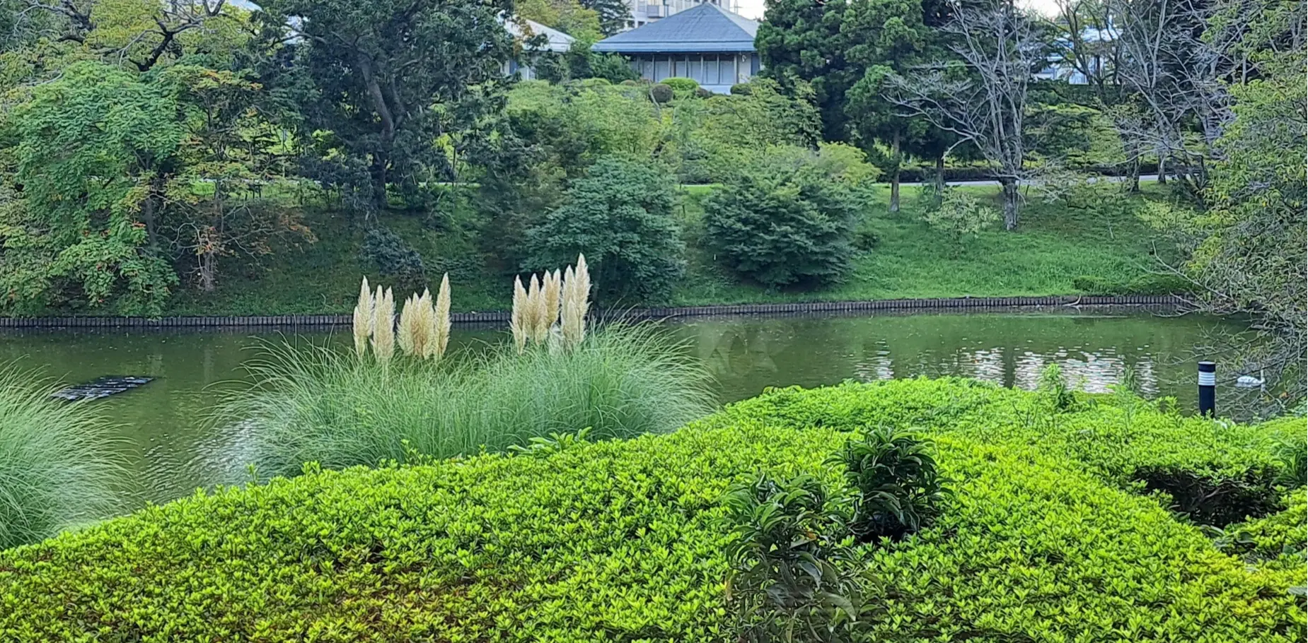 私にとって唯一無二の場所 DIC川村記念美術館_1_15