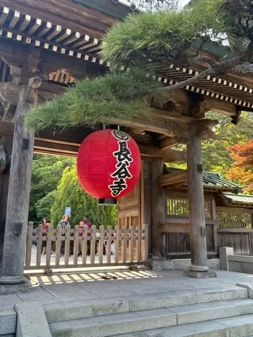 鎌倉紫陽花と続・続・最後から二番目の恋ロケ地巡り_1_1
