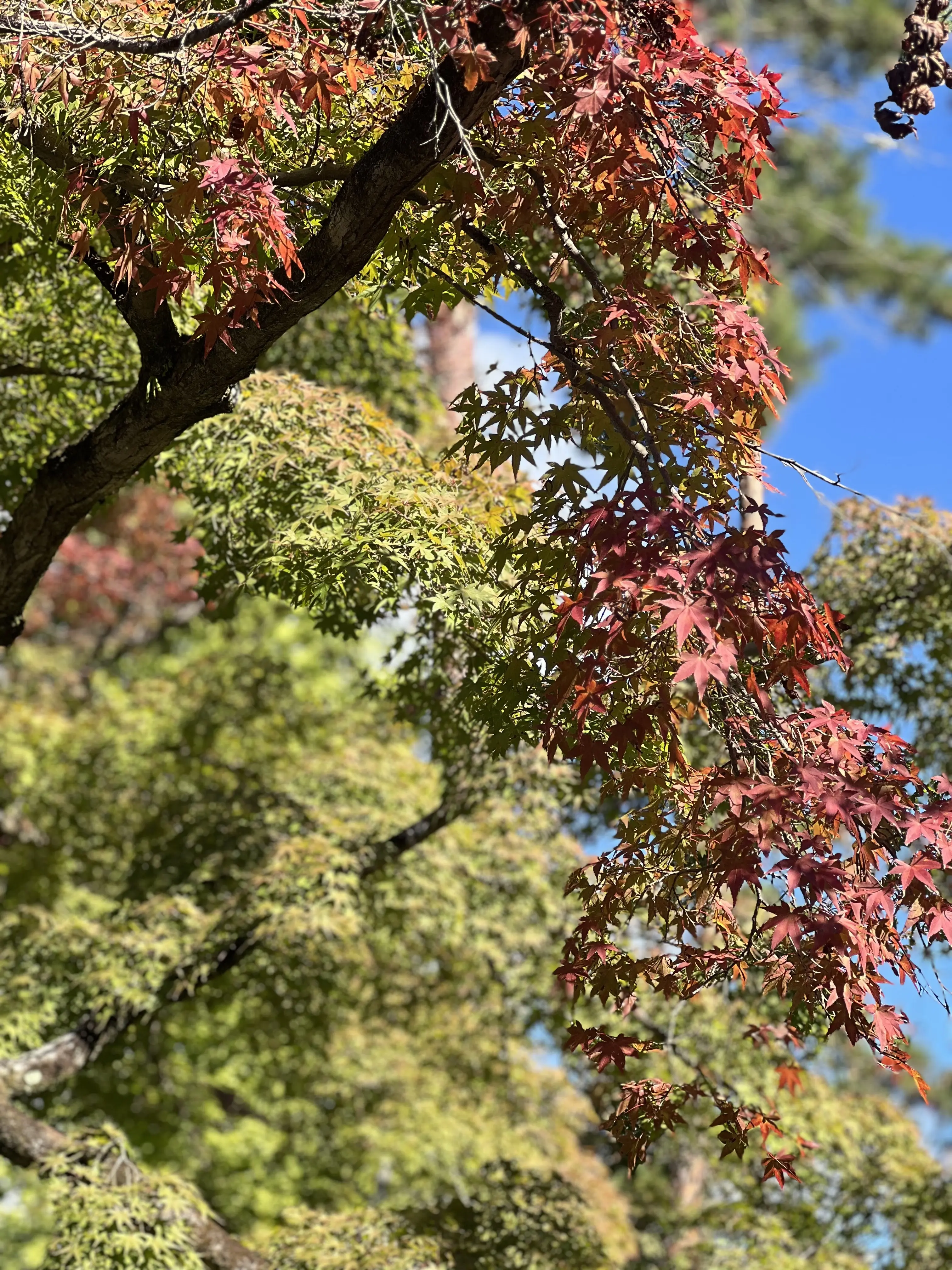 京都　南禅寺