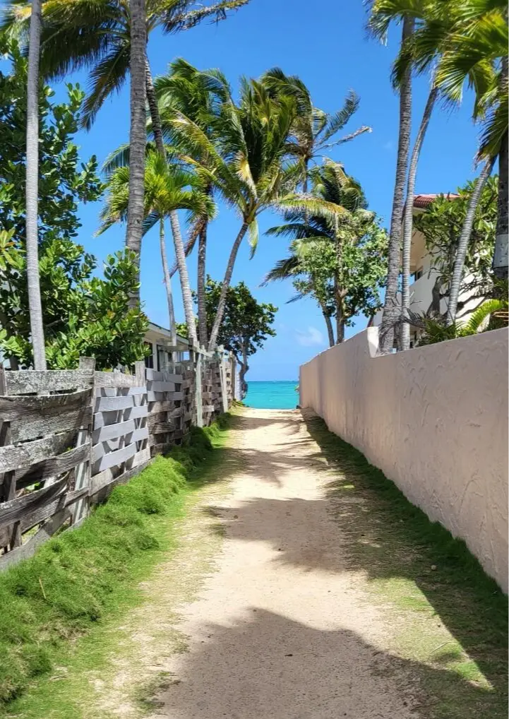 【Hawaii 2025】お出かけスポット色々♡山・海・お土産_1_12