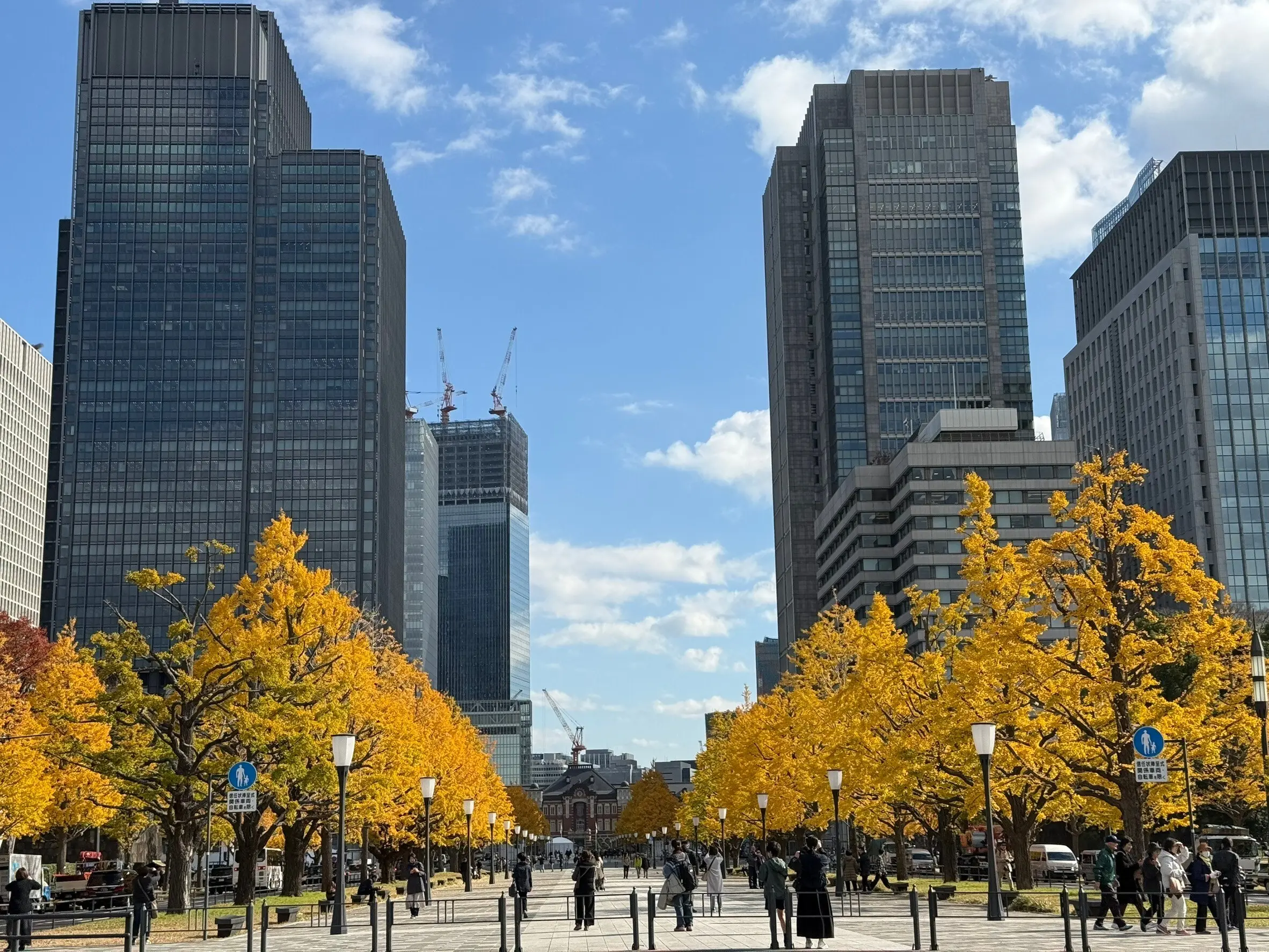 都会の景色