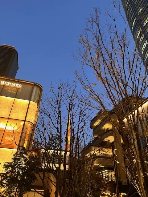 麻布台ヒルズクリスマスマーケットへ_1_3