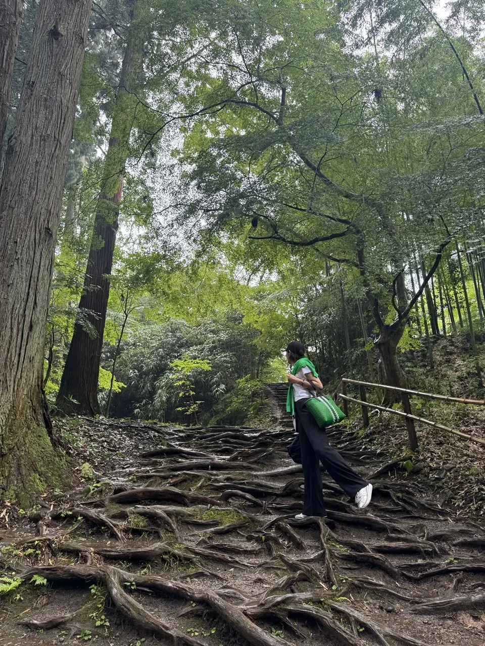 中尊寺 10